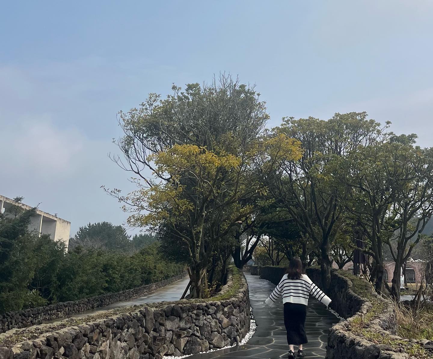 알찬듯 힐링하고 온 #여행
#영국 온듯한 호텔 옆 말구경도 신기했고 #아마조나 이후로 나에게 새로운 #앵무새 구경을 시켜준 #화조원
다시 가고 싶어서 또 찾아보는 나 아쉬웠나 봄🌸