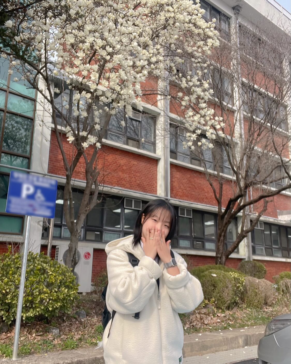 콘텐츠