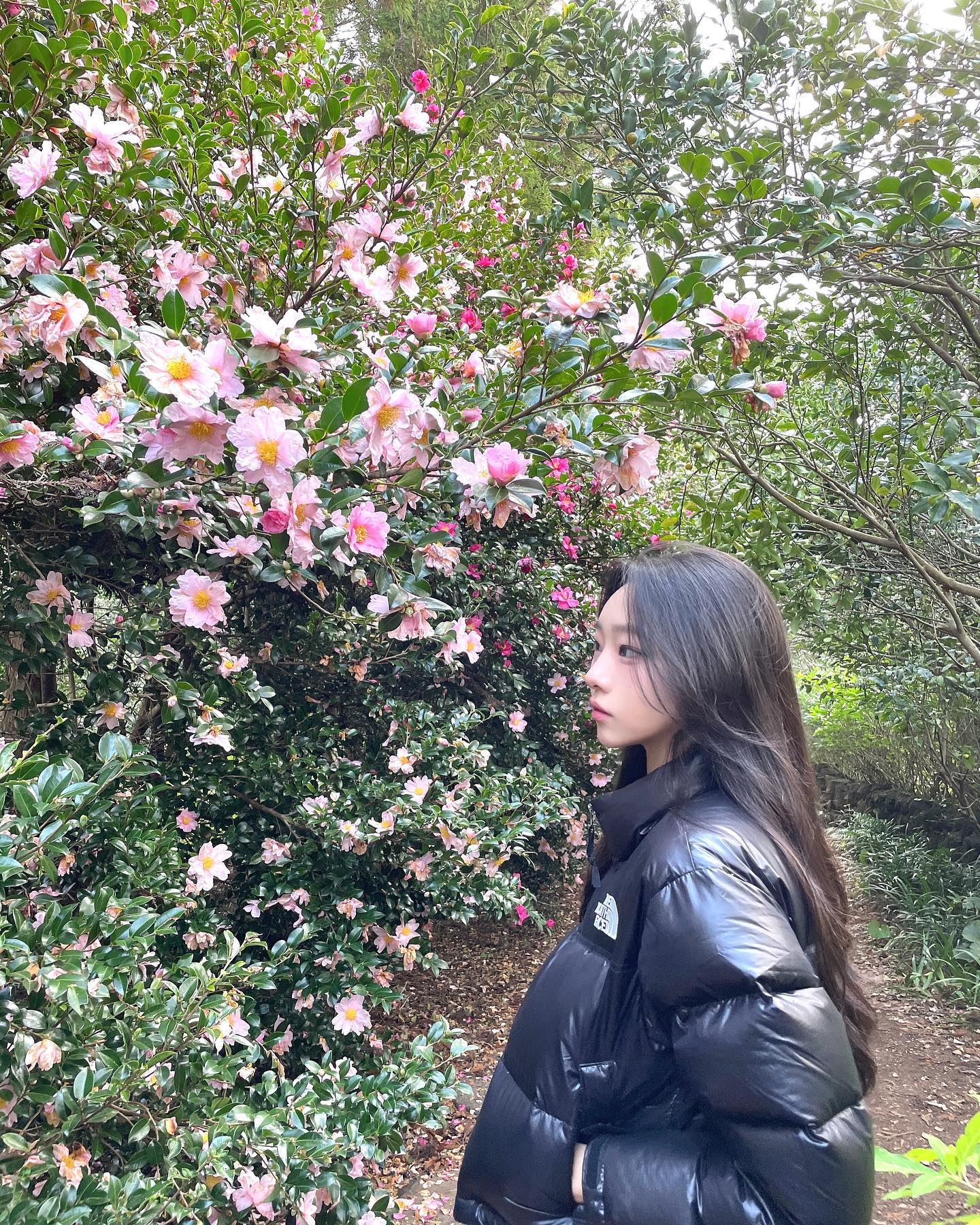 콘텐츠