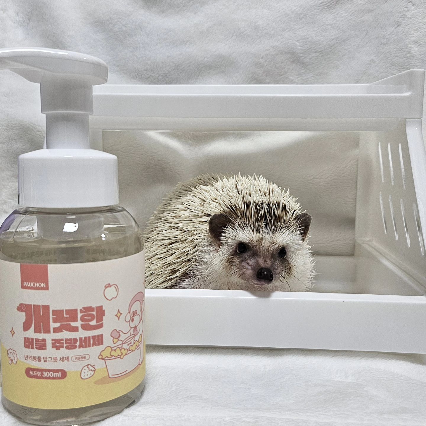 #광고
집사라면 필수템인 반려동물 전용 세제🧼🫧

🎁 #뽀숑 에서 보내주신 #깨끗한버블주방세제 

✔ 𝑪𝒉𝒆𝒄𝒌 𝑷𝒐𝒊𝒏𝒕

🫧KTC 세척력 시험성적서 인증완료 된 일반 세제보다 강력한 세척력

🫧버블 타입으로 잔류세제 최소화

🫧후각이 예민한 아이들을 위한 무향 제품

🫧전 성분 EWG 그린등급

🫧반려동물 식기뿐 아니라 과일 • 채소도 세척 가능한 원료

기존에도 반려동물 전용세제를 사용하고 있었는데 액상제품이였는데
액상제품은 침 성분과 섞여 식기류에 잔류하기 쉽다고 해요 
헹구고 나니 뽀득 뽀득🧼🫧
•
•
•
•
#PetsofInstagram #Hedgehogs #HedgehogLovers #hedgies #pet #hedgie #hedgehogs #erizo
#고슴도치 #hedgehog #ハリネズミ #ペット #hérisson #amazonpets #hedgehogcommunity #instagram #daily #follow4followback #likelike #fff #instagood #instadaily #amazonpets 
#강아지세제 #고양이세제 #강아지밥그릇 #고양이밥그릇 #주방세제