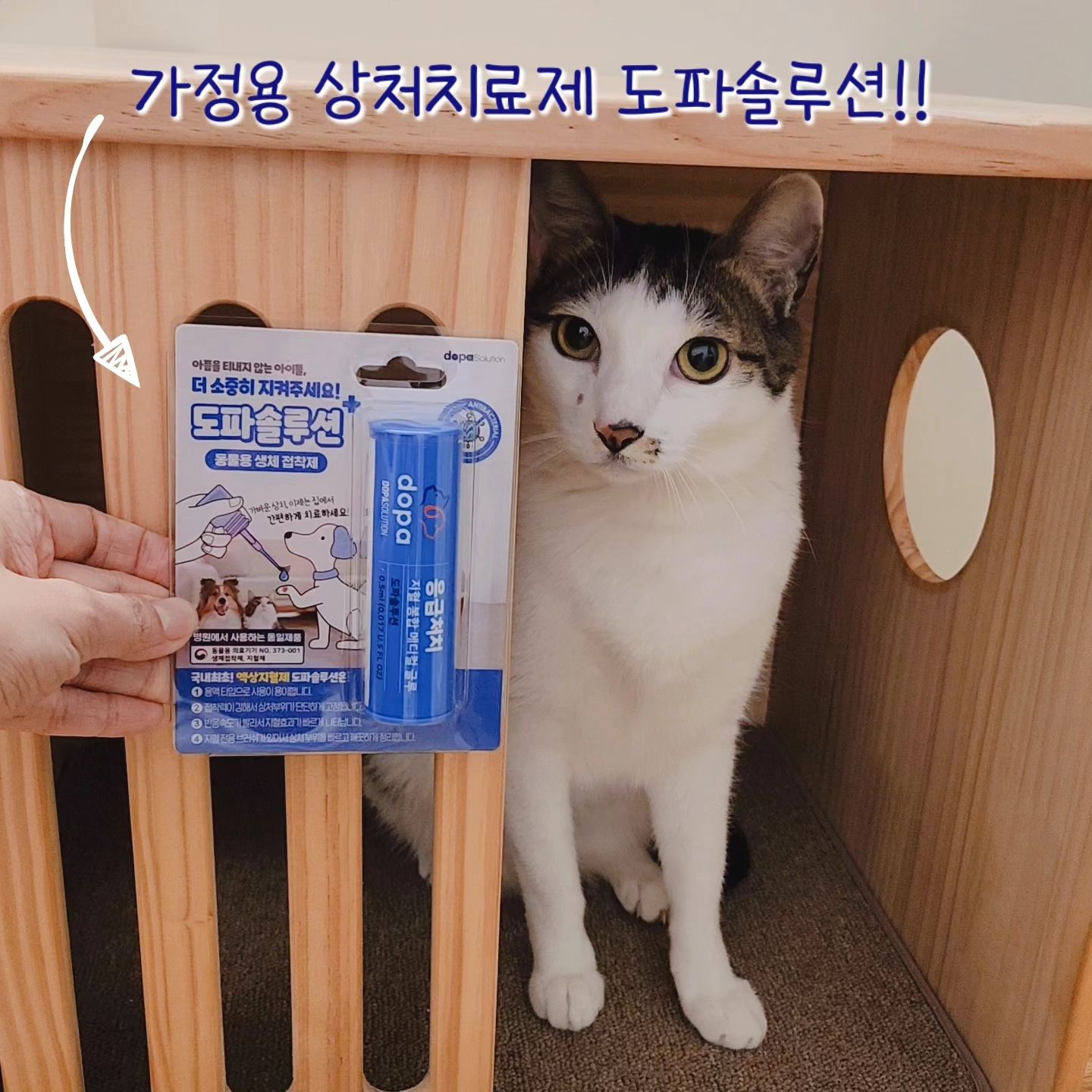 #협찬 #광고

☆ 반려동물 가정용 상처치료제 도파솔루션!!
.
지혈, 항균, 방수가 한번에 되는 메디컬글루!! 🤗🤗
.
점도 낮은 용액으로 상처부위를 보호해 지혈효과 극대화 ✔️
강한 접착력으로 상처부위를 단단하게 고정 ✔️
생분해되는 글루로 흉터자국과 스트레스 최소화 ✔️
언제 어디서나 빠른 지혈과 봉합으로 사용에 용이 ✔️
지혈전용 특수브러쉬로 상처부위에 깨끗하게 도포 ✔️
피부민감도, 세포독성 테스트, 동물용 의료기기 허가 완료 ✔️
실제 동물병원에 사용되는 지혈 봉합 메디컬 글루 ✔️
미니멀한 사이즈로 간편한 휴대성 ✔️
.

혹시 모를 상황에 대비해서 체온계, 연고, 소독제 등 구급약품은 구비하고 있었는데..

평생 안쓰는게 제일 좋겠지만..

상처가 생겨서 출혈이 발생하면 지혈 먼저하고 세균 감염도 막아줄 수 있어서~
먼저 조치하고 병원에 가면 응급상황에도 빠르게 대처할 수 있을거 같다.

구급 약품에 하나 더 추가!! 👍👍
.
.
#국개대표 #강아지상처치료제 #강아지지혈제 #강아지상처치료제추천 #반려동물상처치료제
#반려동물지혈제 #반려동물상처치료제추천 #고양이지혈제 #국개대표상처치료제 #고양이상처치료제#강아지산책용품 #강아지산책필수템 #강아지상비약 #강아지상처연고 #가정용상처치료제