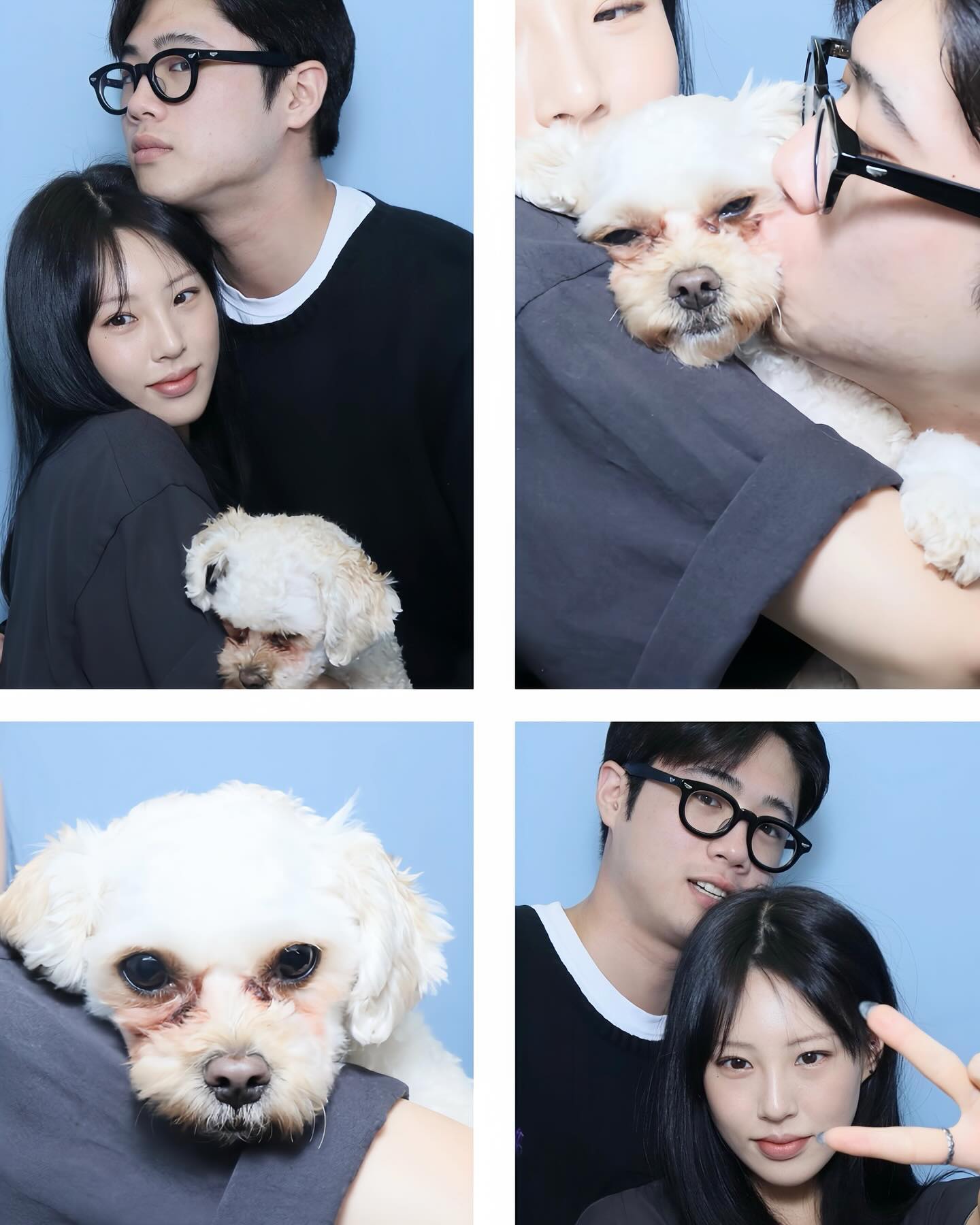🐶🐾
-
-
#selfie #selca #셀프 #셀카 #사진 #사진스타그램 #팔로우 #팔로워 #강아지 #강아지사진 #말티푸 #followforfollowback #followers #instalike #like #좋아요 #데일리 #일상 #daily #dailylook