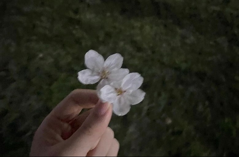 콘텐츠