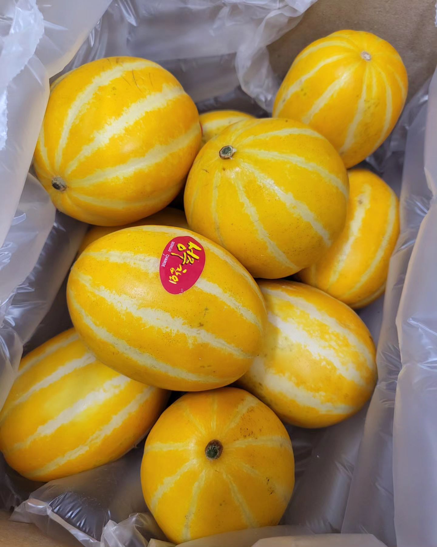 #협찬 
✨️랄라슈퍼(lalla_supermarket)

산지직송 정품 프리미엄 고당도 성주 꿀 참외 
가성비 좋은 가정용 2kg. 여름에만 먹는 참외인줄 알았는데 꿀이 들어간듯 달달하고 싱싱하니 맛있어요! 성주 꿀참외는 풍부한 맛과 당도를 자랑한다더니 과육이 깊고 부드러워 맛있게 먹고 있어요👍

#성주꿀참외 #랄라슈퍼 #참외 #정품 #선물용 #프리미엄 #고당도  #가정용 #세트 #로얄과