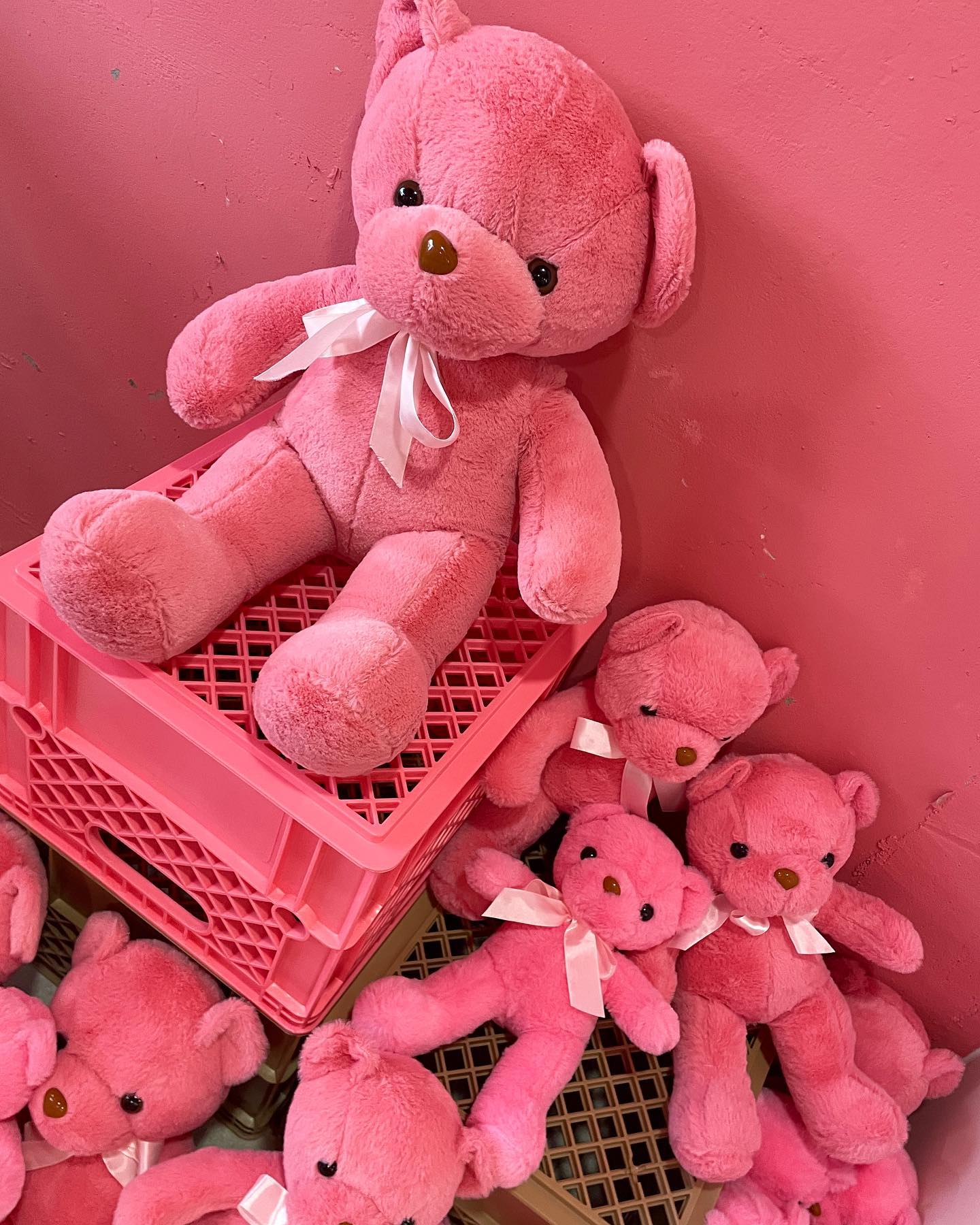 콘텐츠