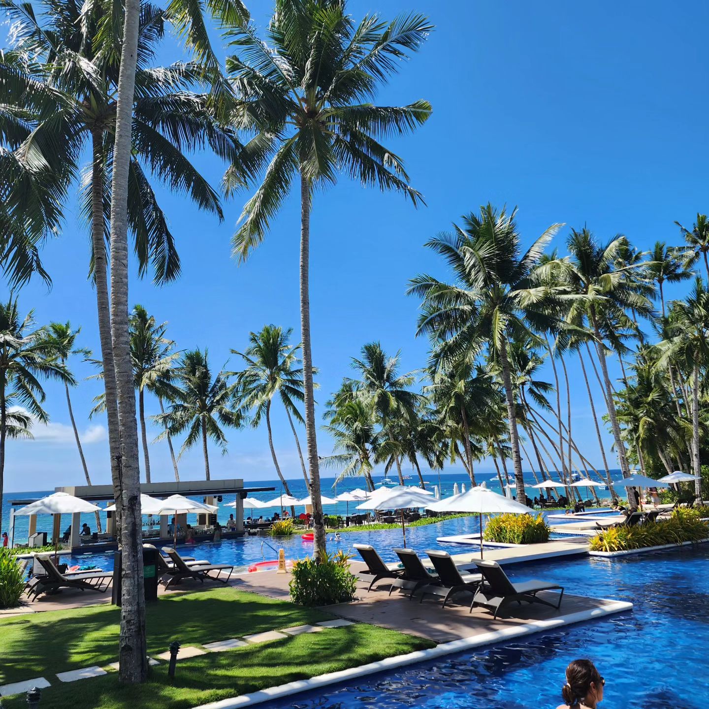 #보홀 #bohol #alonabeach 
날씨 조타♡