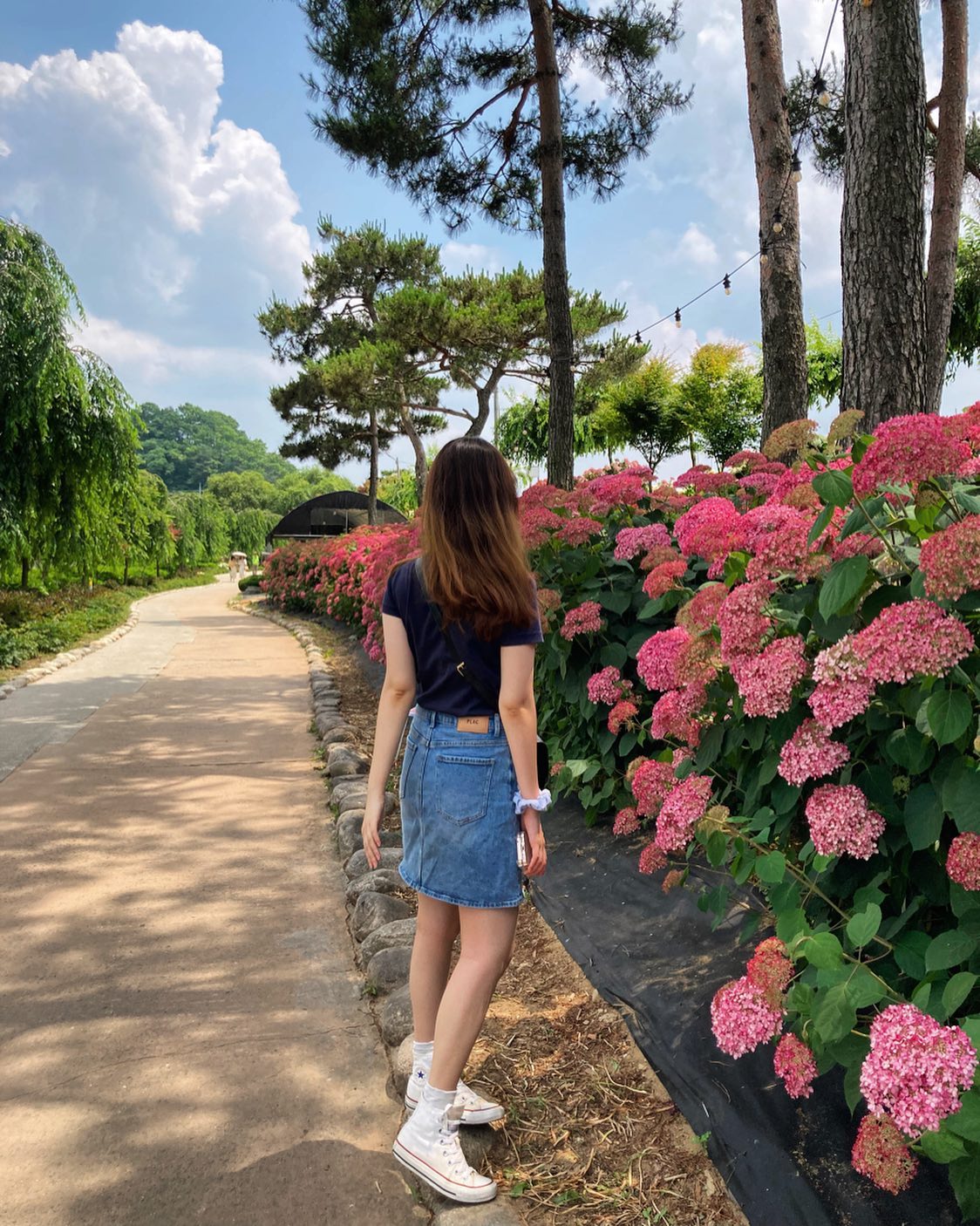 수국보러 다녀왔는데, 너무 더워요 🤣😓 
이제 어딜 가든 선글라스 필쑤! 😎