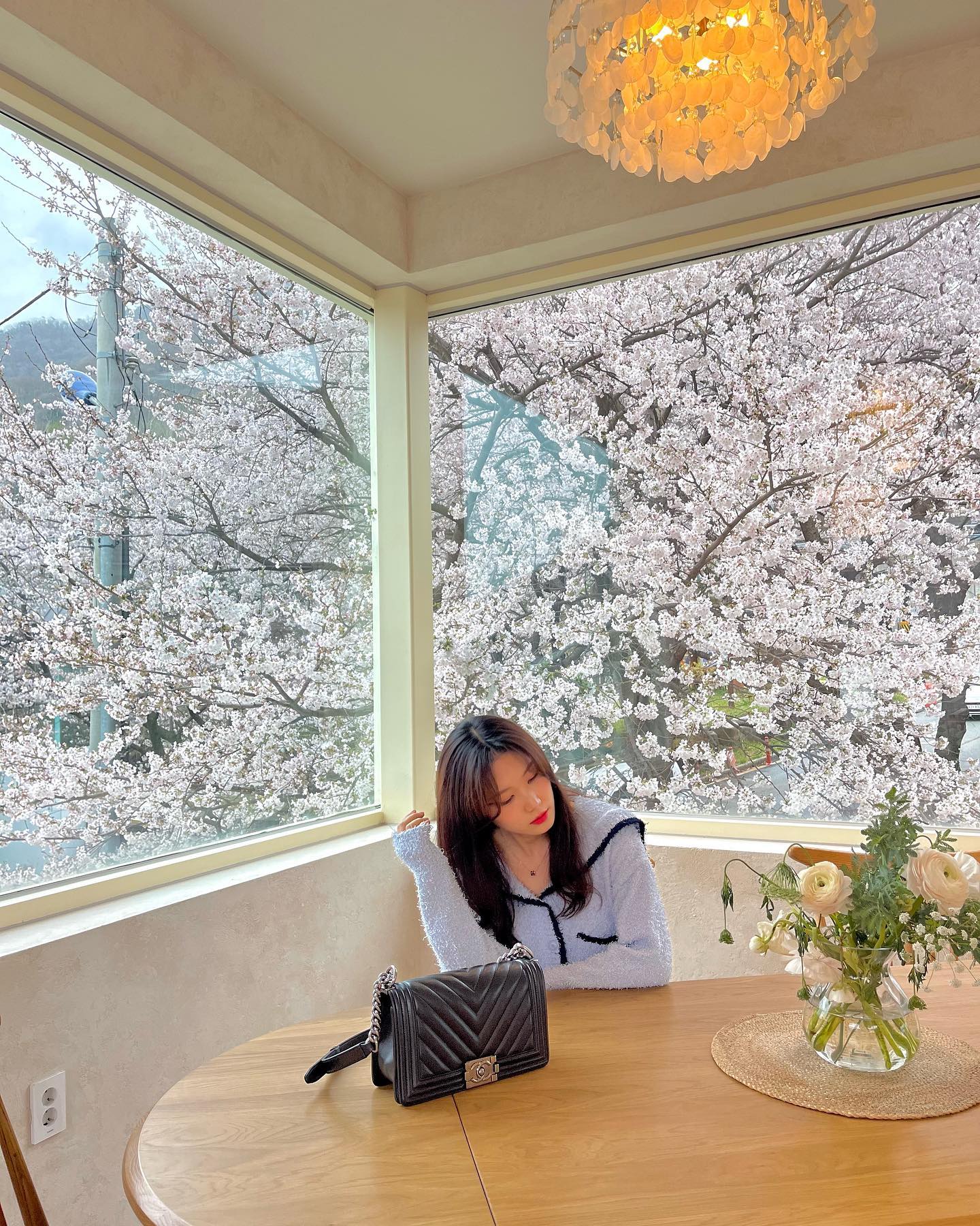 여긴 벚꽃 거의 만개했으니
떨어지기전에 지금 당장
달려가세요🌸🌸