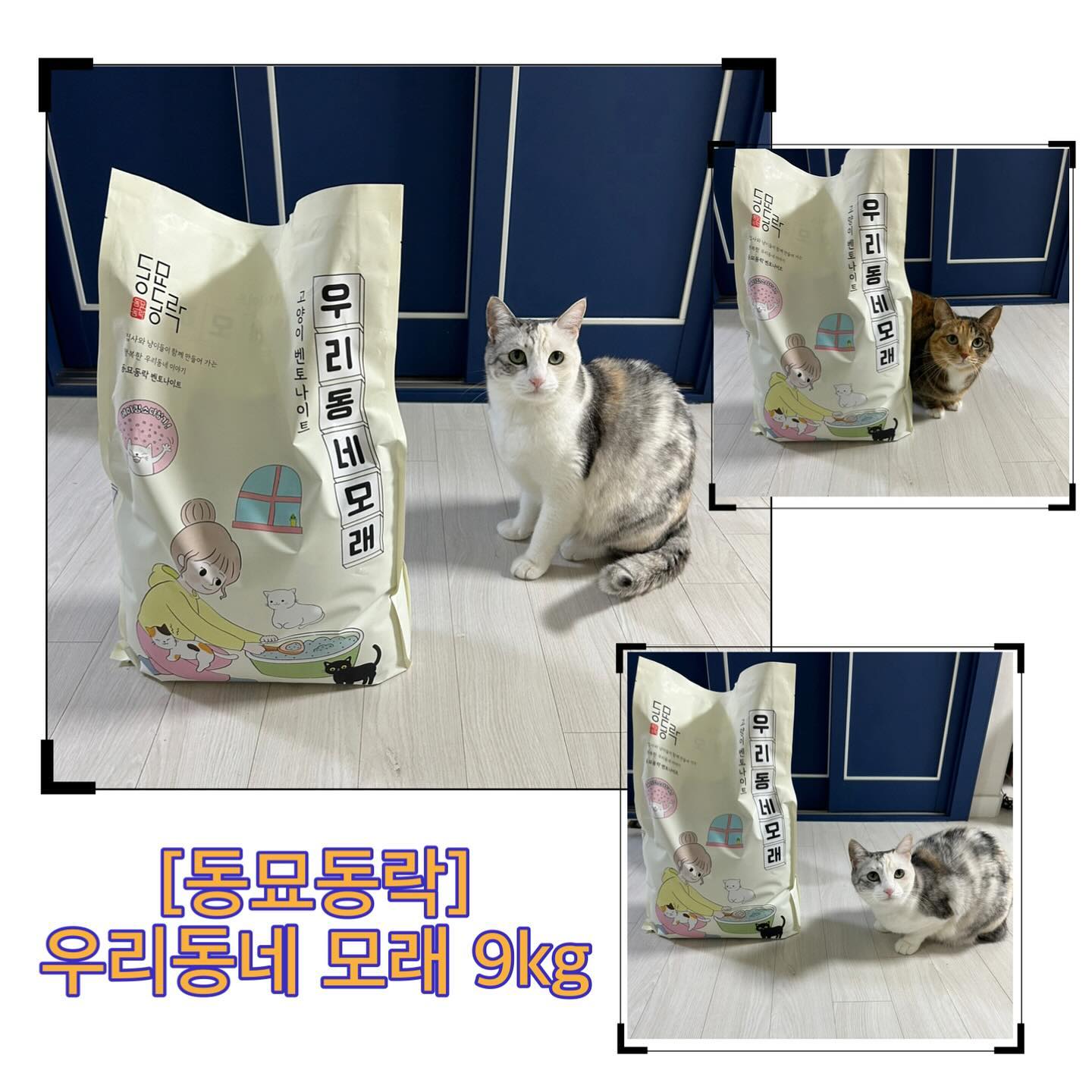 #협찬 #제품제공 #무상제공 
[동묘동락] 우리동네 모래 9kg 
catpre_official 

몽묘동락 우리동네 모래는 먼지 제거 공정을 여러번 거쳐서 그런지 모래를 부을 때 먼지 임이 없더라고요. 보통은 약간의 먼지 임이 일어나는데 전혀 없어서 놀랬어요. 
저희집 고양이가 맘에 드는 모래를 사용하면 전체 갈이 후 바로 응가를 싸는데, 이번에도 바로 응가를 싸더라구요. 아이가 뭍자마자 냄새가 사라지는 마법을 바로 확인 할 수 있었어요. 탈취력 정말 갑이에요! 
게다가 9kg이라는 대용량이라는 점도 너무나 맘에 들었답니다. 
응고도 바로 빠르게 되서 부서짐이 없었어요. 

이 리뷰는 제품을 무상으로 제공받아 작성되었습니다.

#고양이모래 #고양이모래추천 #동묘동락 #우리동네모래 #동묘동락우리동네모래 #벤토나이트 #벤토나이트모래추천 #협찬 #제품제공