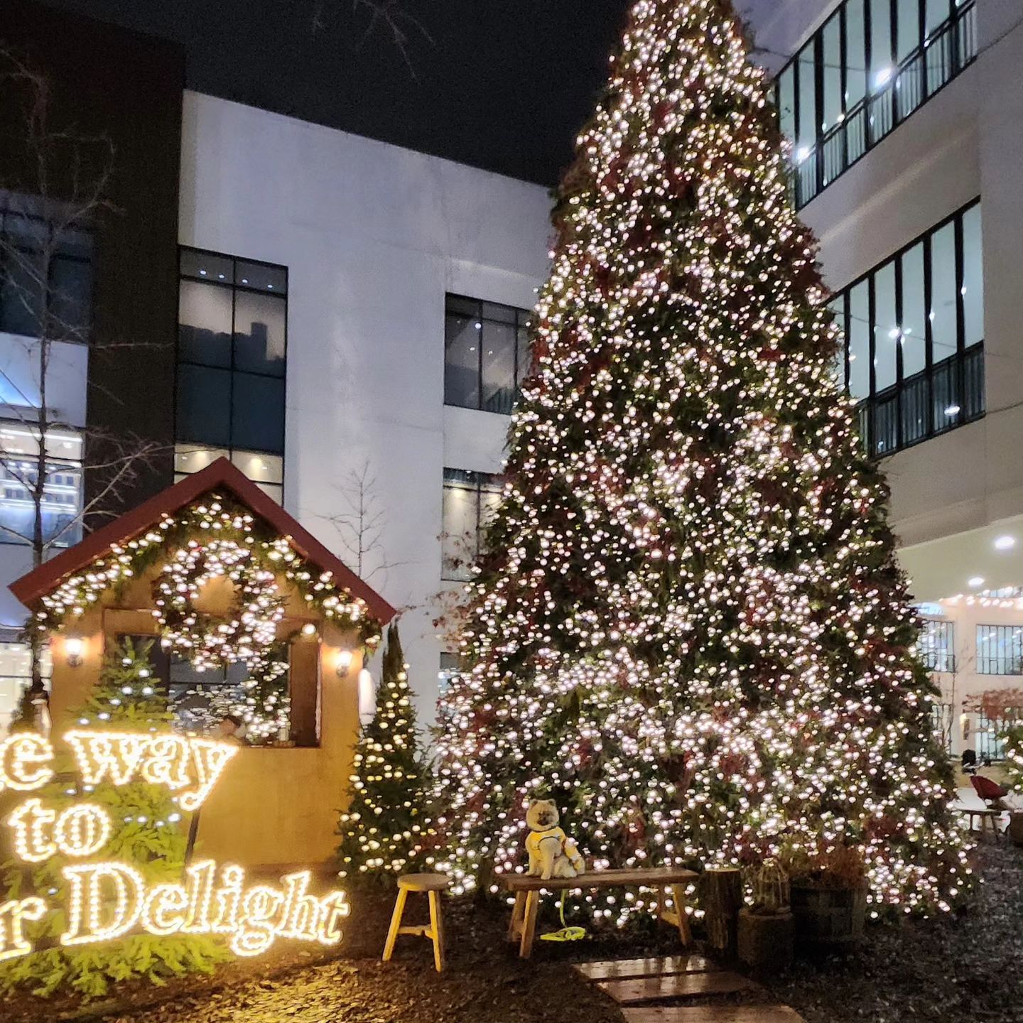 #merrychristmas
드디어 크리스마스 주간 🎄
칭구들아 산타 할아버지한테 멋진 선물 많이 받아 🎁
맛난 것도 많이 먹고 따뜻한 연말 보내 🎉