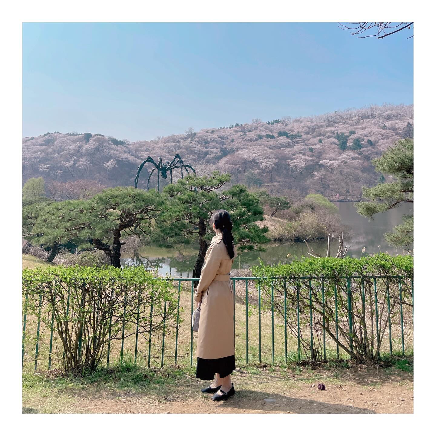 매화와 벚꽃이 가득한
호암미술관, 정원 희원
단풍철에도 예쁘지만,
봄꽃 가득한 지금은 또 다른 모습

이제야 만개된 벚꽃터널🌸
넘 예쁜 장소에서 
벚꽃나들이 해피💕
.
.
.
.
#호암미술관벚꽃 #호암미술관희원 #호암미술관