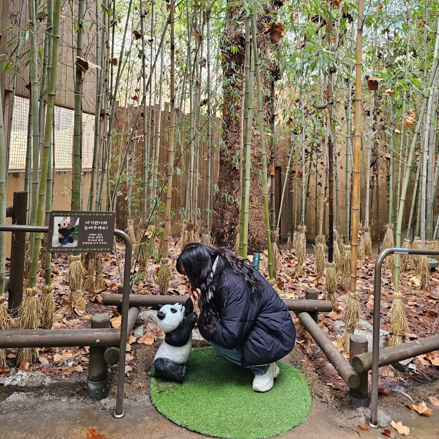 푸바오가 가기전 미친듯이 뛰었던 어느 겨울날 🐼

#특파원우여사_경기도 #에버랜드 
#푸바오 #아이바오 #루이바오 #후이바오 #러바오