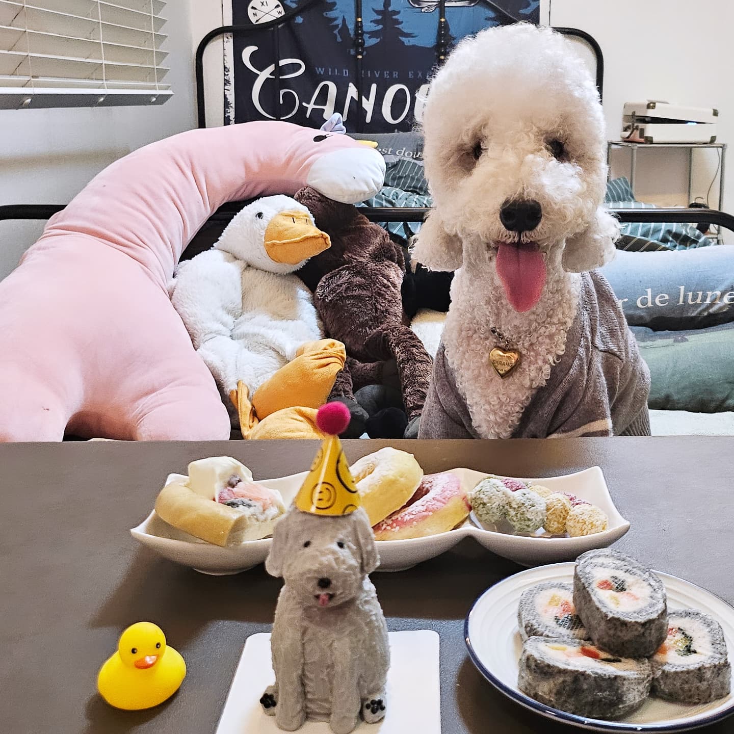 4rang4rang2 
lucky_dangdang 
우리사랑이 8번째생일🎂 
오래건강하게 엄마빠 옆에 있어줘♡사랑해♡
옆에눈 싸랑이 칭구들🦆🦄🦌💞
.
.
.
.
.
.
.
.
.
#강아지간식#강아지케잌#애견미용#애견간식 #베들링턴테리어#베들#부산#서면#댕집사#집사맞팔#집사소통#애견스타그램#애견용품#개집사#집사스타그램#집사그램#강아지패션#강아지일상#강아지그램#멍스타그램#댕댕이#인스타독#강아지스타그램#펫스타그램#견생일기#견스타그램