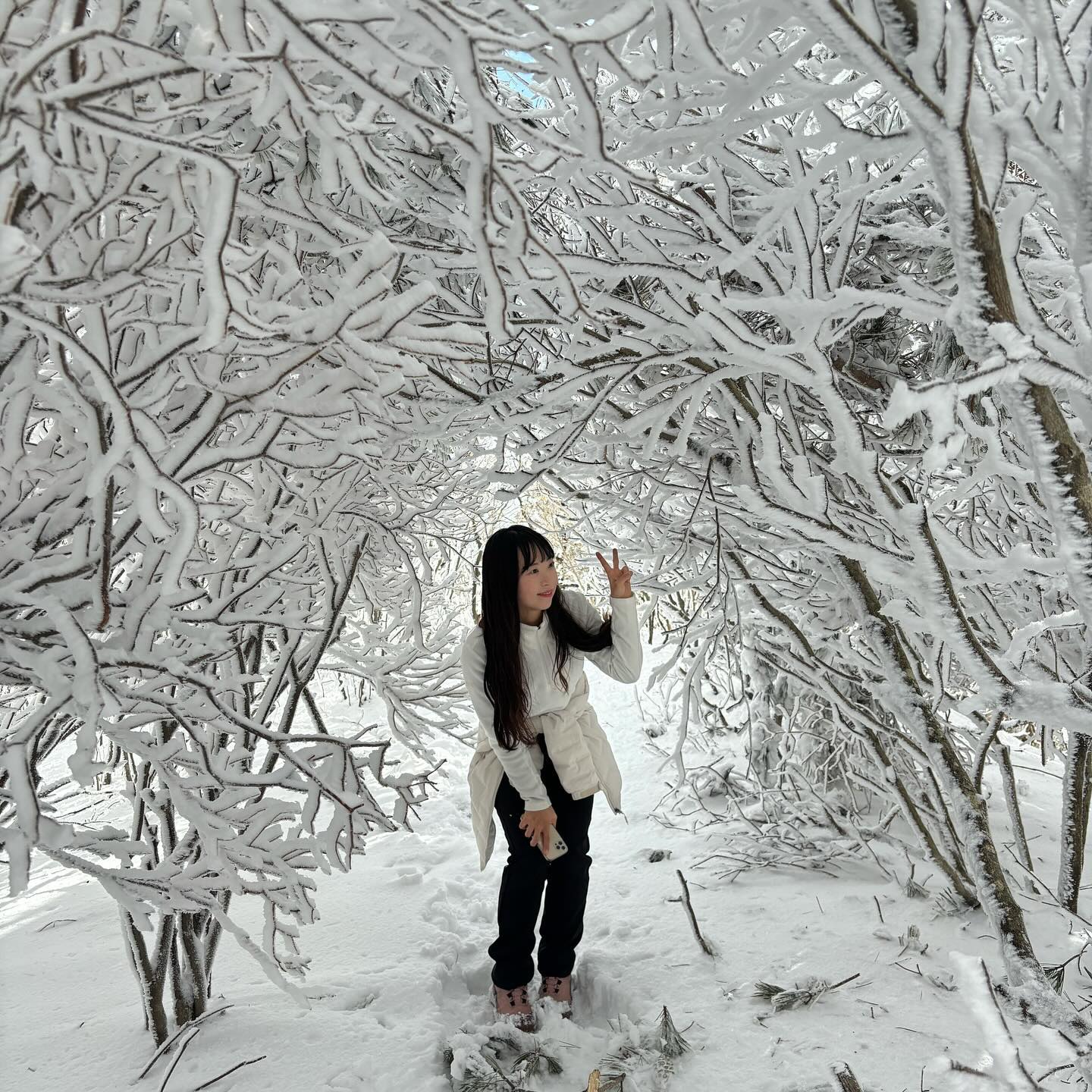 문복산 가는길은 예뻐용😳💛

📍 문복산공영주차장~신원봉(895m)
⭐️ 문복산 갈림길 표지석 인증 #낙동정맥 
⏰ 왕복 약 1시간