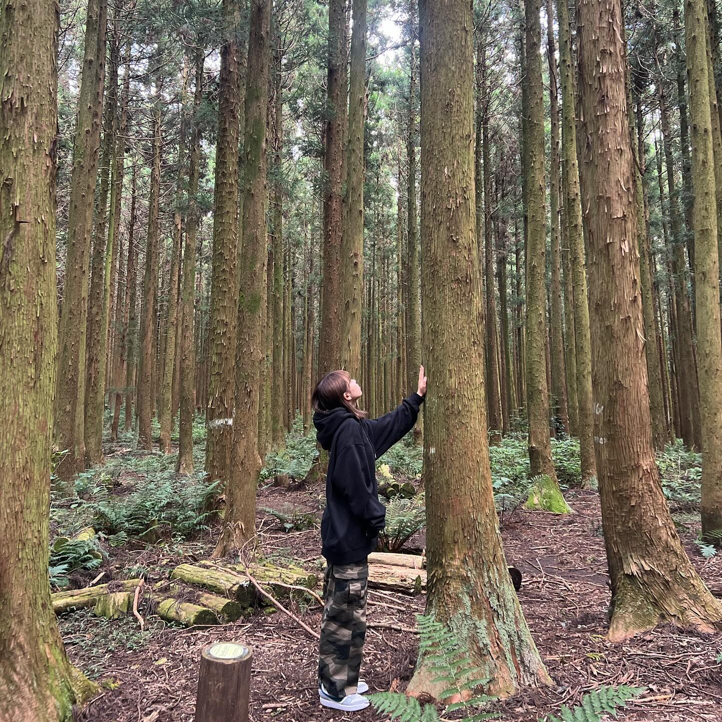 🌳