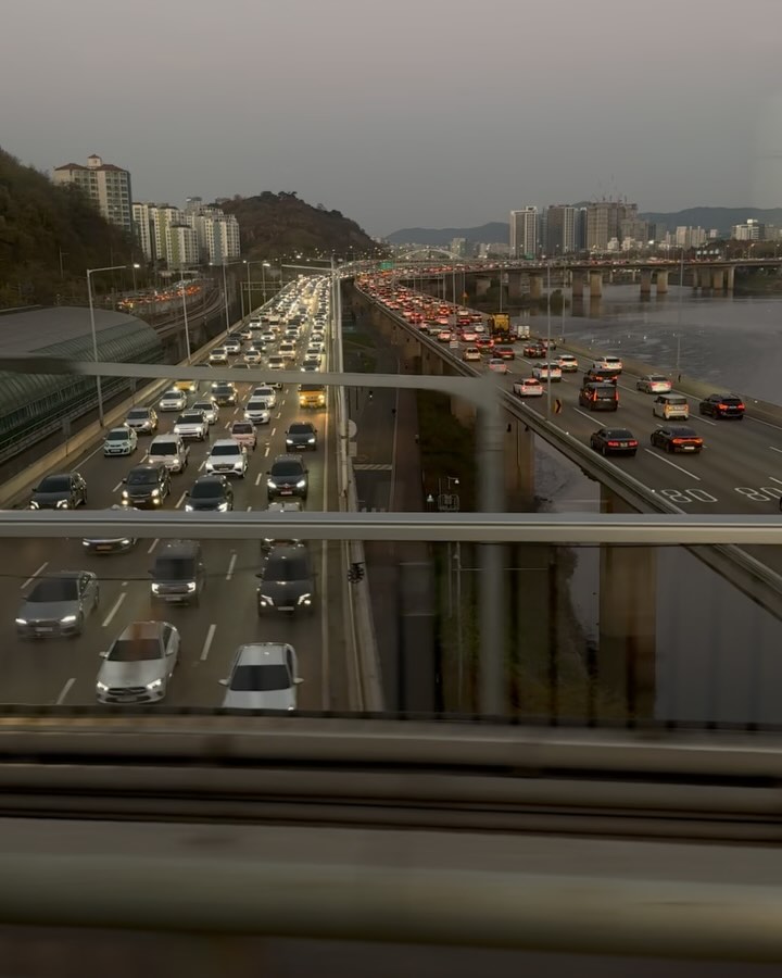 콘텐츠