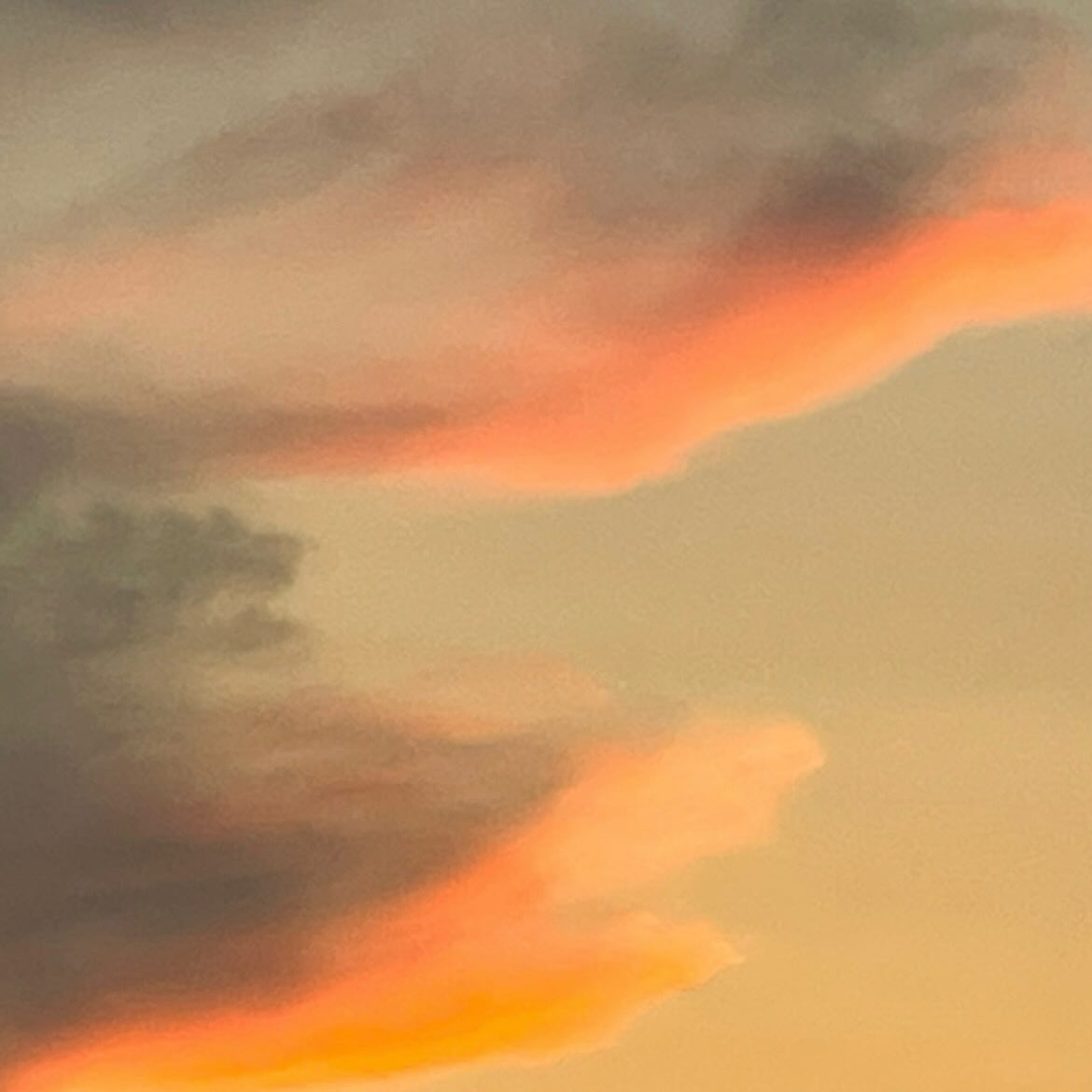 🩵🤍☁️🌫️#구름