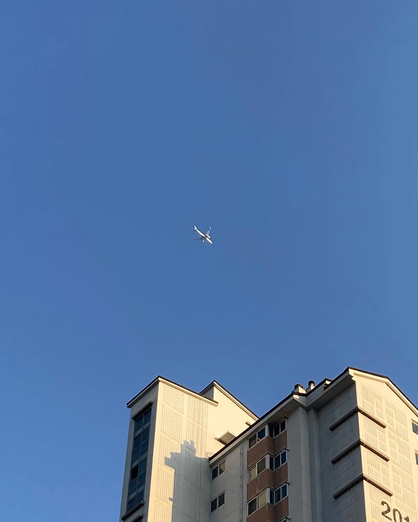 나도 데려가✈️
