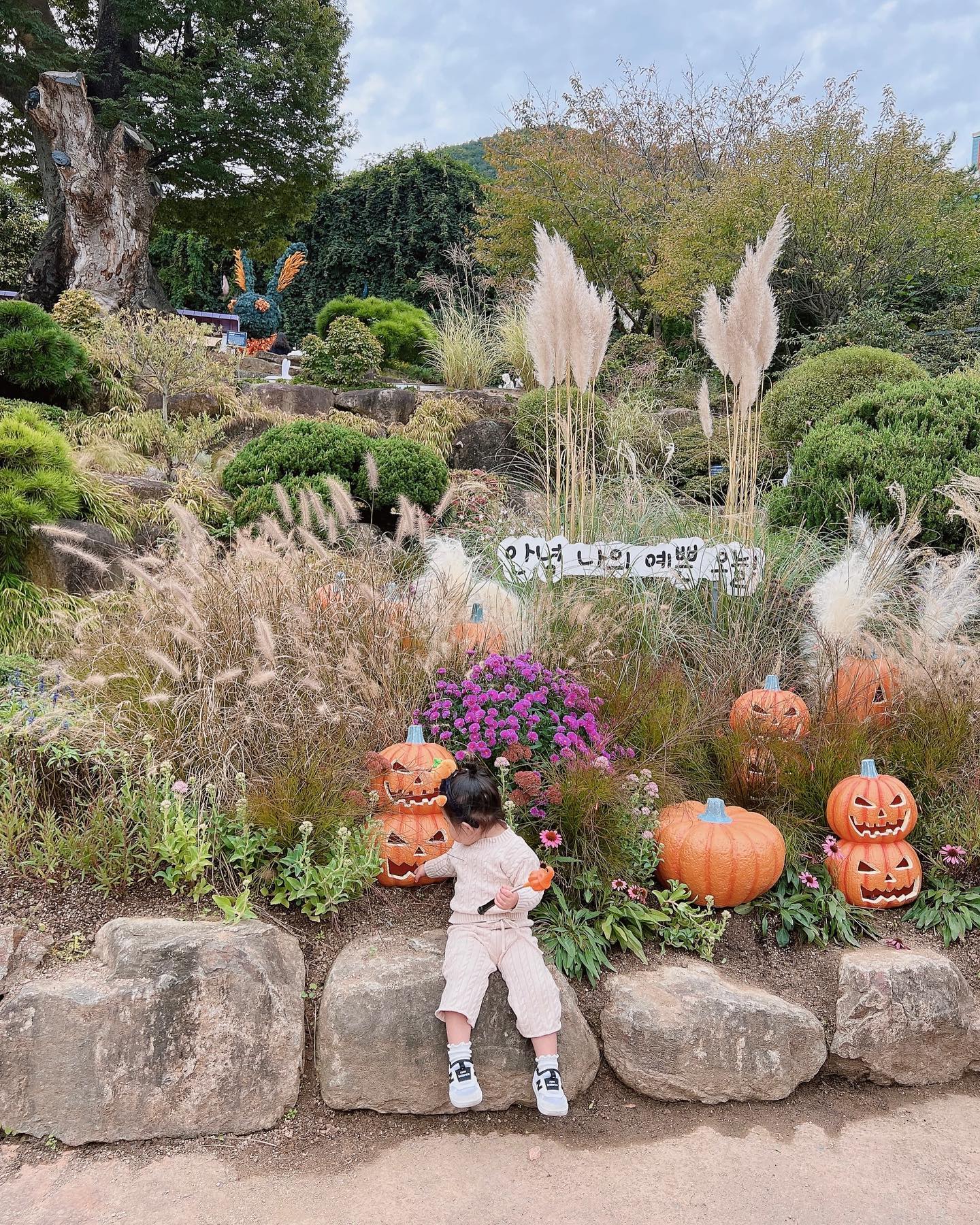 용용이랑 네이처파크 할로윈 페스티벌 다녀와쏘요🎃 

동물 칭구들도 만나고 할로윈게임도 했답니닷
첫 막대사탕을 경험하고눈 세상 기분좋아져따는,,ㅋㅋㅋ 
‘용용아 혀 빨개져떠,,,’하니까
지나가는 사람들마다 혀보여준다고 바빠쏘요 ㅋㅋㅋㅋ

하루종일 신나게놀고 칼육퇴✌🏻
매주마다 가야할까바요ㅋㅋㅋㅋ

#네이처파크할로윈