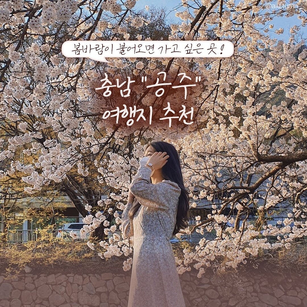 #지자체지원 #공주 ꒰⑅◡̎ ꒱𓈒𓏸
봄바람이 불어오면 가고 싶은 곳!💕💨
충남 ”공주“ 여행지 추천지는~?

1. #제민천
📌교동
- 하천을 중심으로 벚꽃이 펼쳐지는 공주의 벚꽃길🌸

2. #공산성
📌금성동 53-51
- 공주여행 시 꼭 들러야 하는 세계문화유산✨
- 벚꽃명소로도 유명!

3. #충남역사박물관
📌중동 284-1
- 원도심 국고개 인근 벚꽃하늘을 볼 수 있는 곳

4. #동학사
📌학봉리 789
- 유서 깊은 사찰이자 아기자기한 분위기로, 공주 벚꽃 명소!

5. #신원사
📌계룡면 양화리 8
- 공주 힐링 여행지 추천
- 찐한 홍매화가 피면 인생샷 찍기 딱! 📸

6. #미르섬 
📌신관동 553
- 시원한 바람과 넓게 펼쳐진 바다를 바라보며 숲길과 터널까지 즐기며 달릴 수 있는 곳

7. #연미산자연미술공원
📌산웅리 산26-8
- 특별한 봄 데이트를 하고 싶다면 강력추천!
- 이색 포토존 있음 

8. #석장리박물관
📌석장리동 118
- 구석기축제(5.3~5.6) 개최!
- 가족여행으로 좋은 곳
- 근처의 계절별 꽃단지까지!
.
.
.
#대한민국구석구석 #공주여행 #공주핫플 #공주관광명소 #공주여행지 #공주여행추천 #공주가볼만한곳 #국내여행 #국내여행지 #봄여행지 #충청남도 #여행지추천