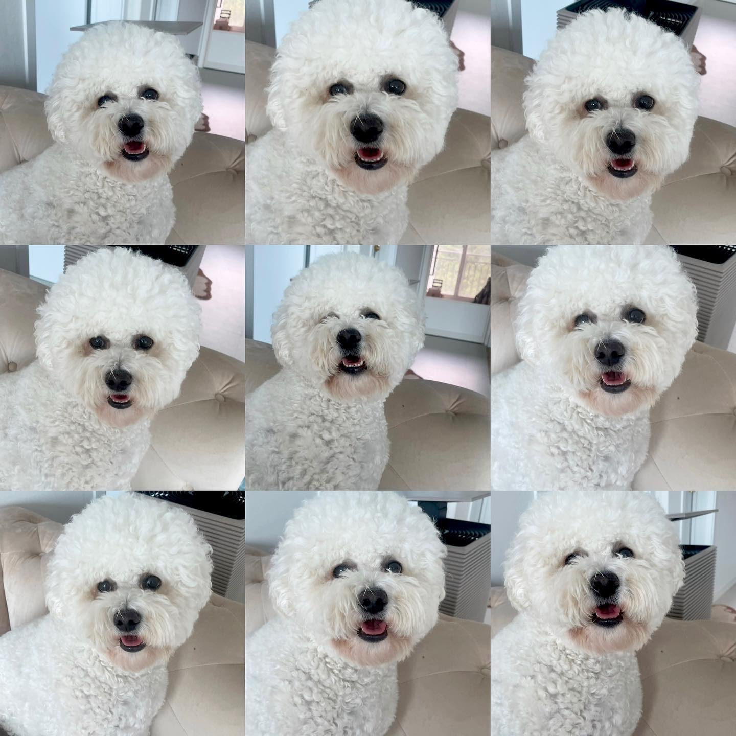 예쁘게 찍어쥬세ㅇ ㅕ ˃̵͈̑ᴗ˂̵͈̑