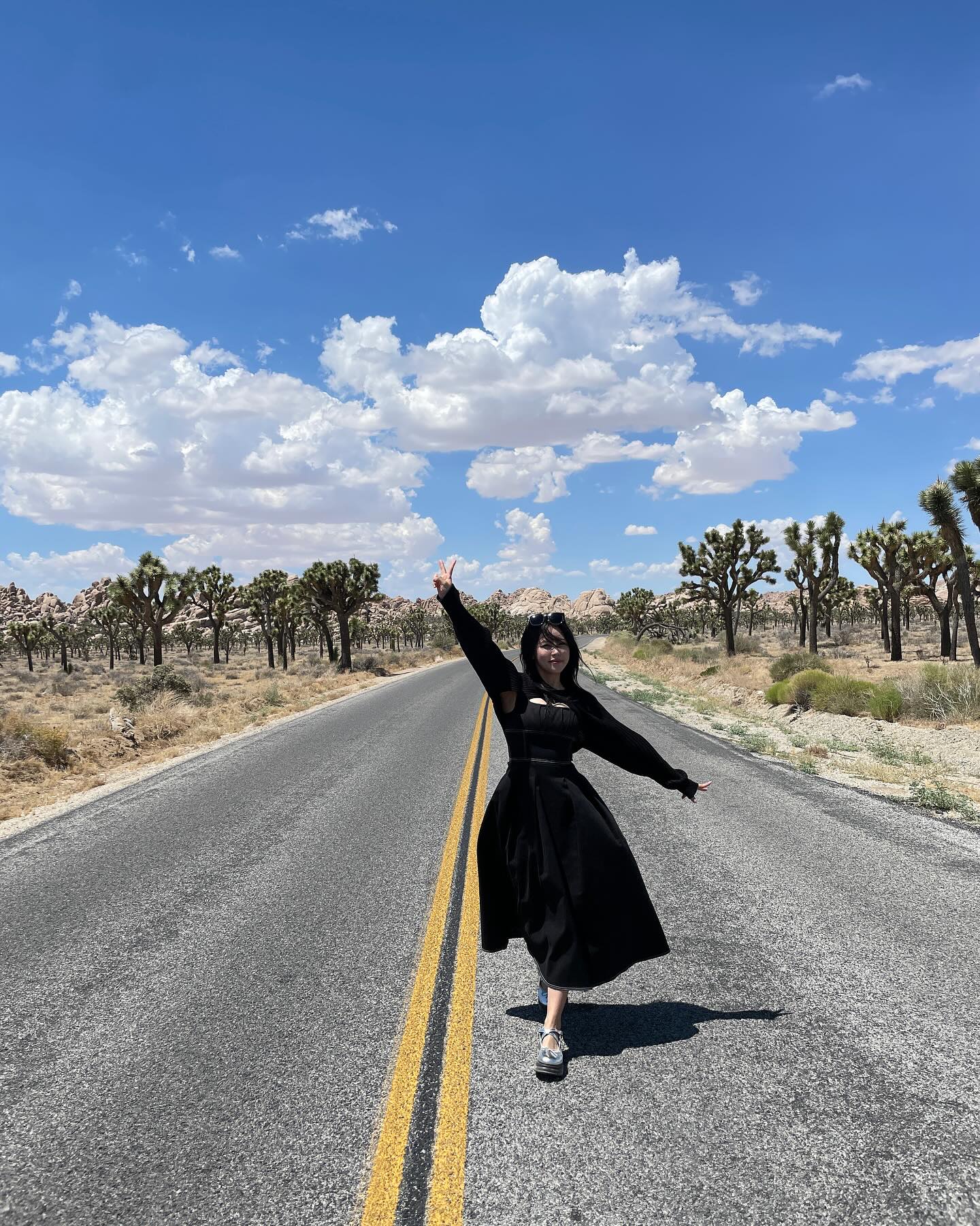 조ㅑ샤츄리 마지막🤍

#joshuatree