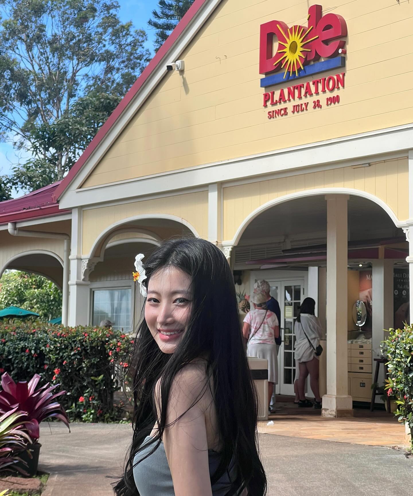 Dole🍍
