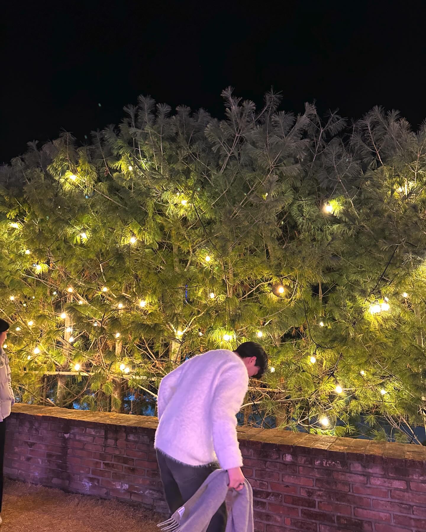🎄