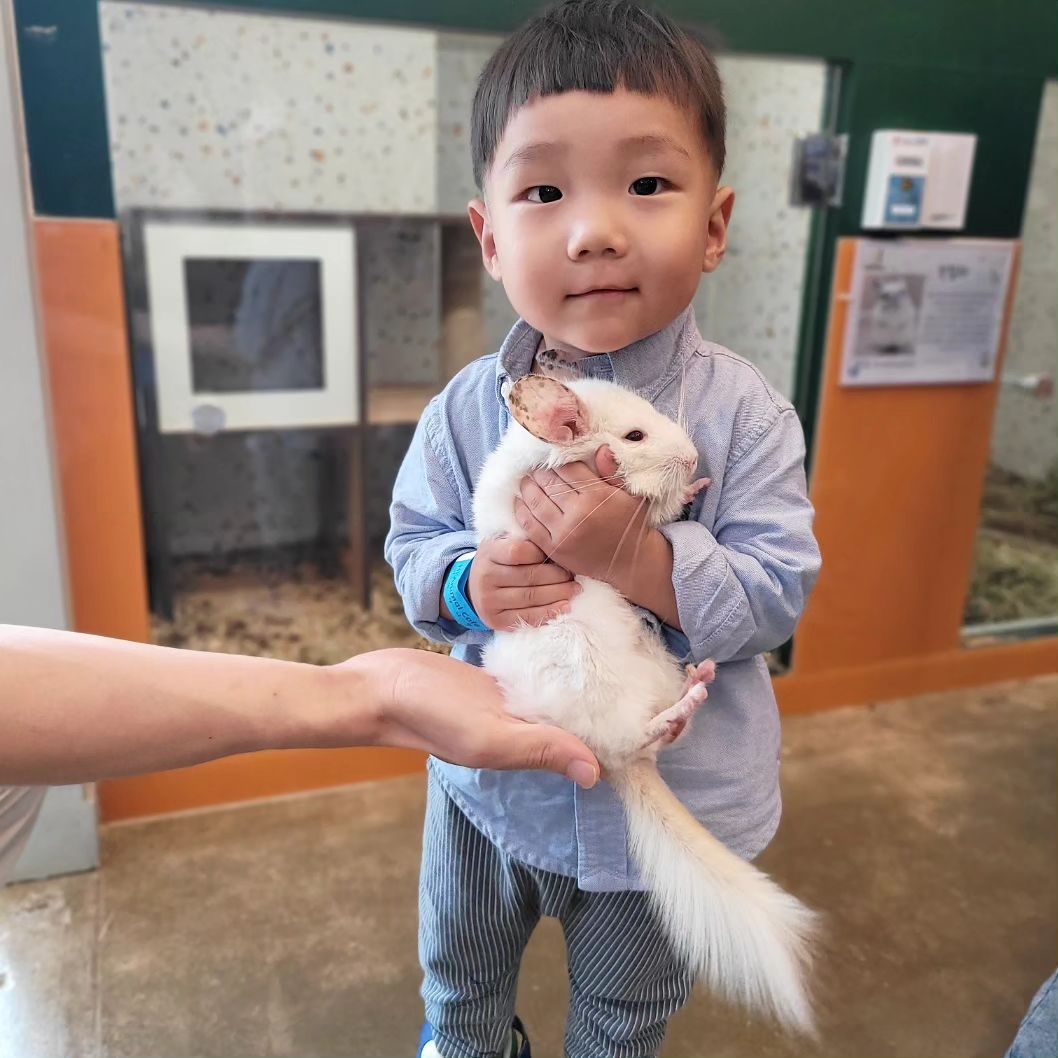 진짜 치명적이게 귀엽네♡♡♡

#아이와가볼만한곳 #동물체험 #동물먹이주기 #동물카페 #봉담핫플 #봉담키즈 
hi_animal_cafe