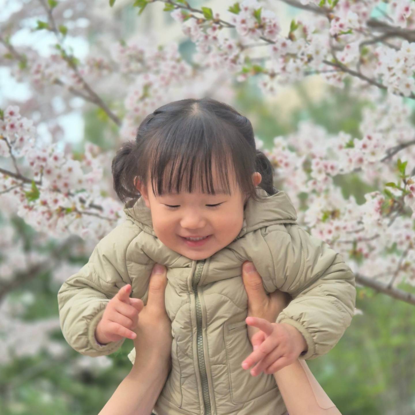 -
아빠랑 친구들이랑 
올해 벚꽃 구경 다했음🌸

내년에는 덩생이랑 같이가보자 :)

#벚꽃놀이 #신나버림