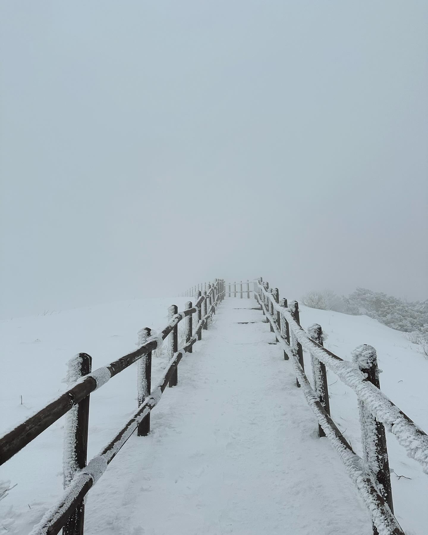 🚩 240210 설 연휴 당일출발
📍 소백산(1439.67m) 단양과 영주 사이에 위치

🏔️등산코스 
천동주차장-천동탐방안내소-다리안폭포-천동쉼터-고사목-천동삼거리- 비로봉-원점회귀(천동코스/가장 완만한 코스)

🚗 주차 / 천동주차장or다리안 국민관광지 주차장 검색
(충북 단양군 단양읍 천동리 380-16)

⏱️산행시간 
✔️5시간 20분 (휴식시간 제외)
✔️거리 : 약 14km (15km미만)

📍
걷기 좋은 탐방로 같은 느낌+심하지 않은 경사는
등린이도 충분히 도전할 수 있는 코스지만
계속 오르는 길이라 조절을 하면서 올라가는 걸 추천해요
** 저는 등린이라서 스틱을 사용해 도움받아 올라갔는데
  같이 간 산우는 등력도 저보다 훨씬 좋고 종주하는 분이라서 
  쉬엄쉬엄 땀 흘리지 않고 저랑 맞춰서 가주셨어요 **

📍꿀팁📍(쉼터에도 화장실 있음!)
✔️ 겨울 똥바람으로 유명한 산이라서 보온에 단디 신경을 쓰고 가는걸 추천드립니다. 오르다보면 쉼터에서 많이 갈아입으시던데 저는 천동삼거리에서 나무2그루가 바람을 다 막아주는곳에서 패딩을 하드레이어로 제일 마지막에 입었고 하나도 춥지 않았습니다. 
다만 아쉬운 건 올라갈때부터 곰탕이었는데 푸른 하늘은 못보고 바람만 맞고 내려왔어요. (여름 전 또 가려고요!)

#소백산 #소백산국립공원 #소백산비로봉 #게레3