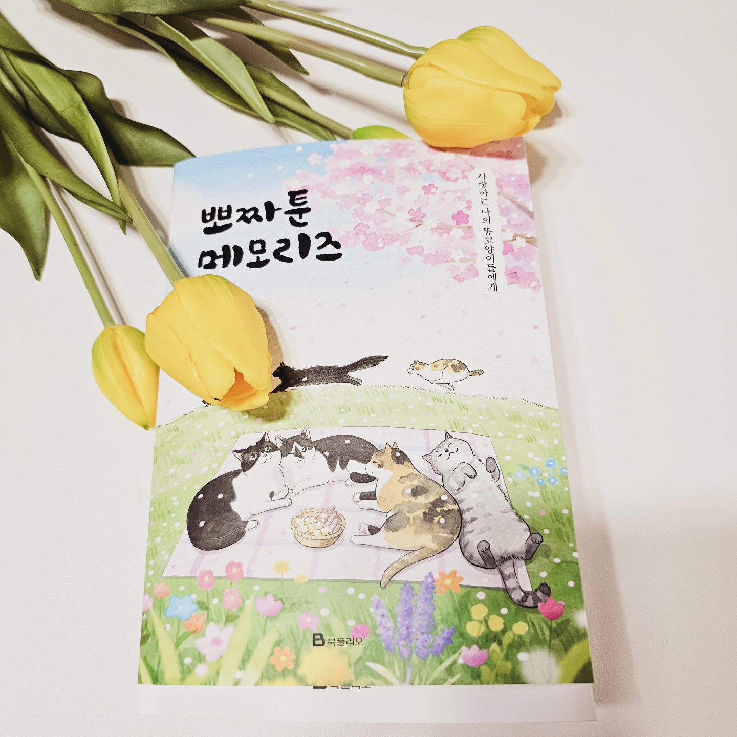 #협찬 

고양이를 정말 정말 좋아하는 딸에게 선물한

10주년 기념 스페셜 에디션

뽀짜툰 메모리즈에요

처음부터 쭈욱 읽어보는데
16년 키운 마지막에 크게 아파서 병원에서 15일 입원하고
무지개다리를 건넌 울 하늘이가 계속 생각나더라고요

울 딸들은 뽀짜툰 보고 🐱 고양이를 키우고 싶다고 난리난리😂

재미있고 가슴 뭉클한 뽀짜툰 메모리즈에는 
61개 일러스트를 포함한 '뽀짜툰 빅 스티커북 8장'이 수록되어 있어요

"그동안 함께해 줘서 고마워! 우리 추억도 함께해"

#웹툰 #고양이만화 #일상툰 #고양이덕후 #고양이 #고양이집사지침서 #카카오웹툰 #반려동물 #북폴리오