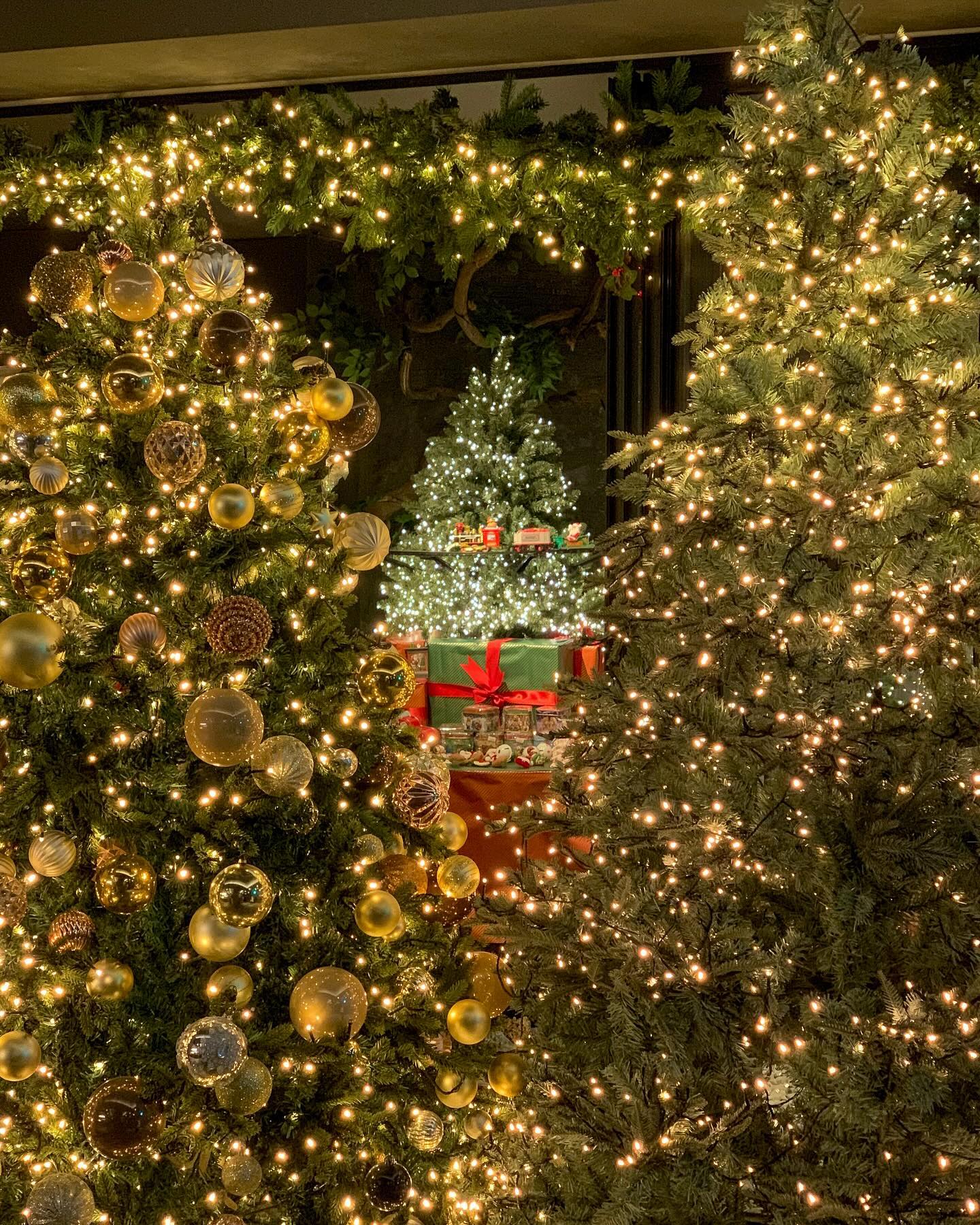 트리 왕 많다 ! 🎄✨
여기 크리스마스에 좀 진심이구나 ? 🎅🏻♥️

rendejavous_daegu 
#랑데자뷰 #랑데자뷰대구 #크리스마스카페