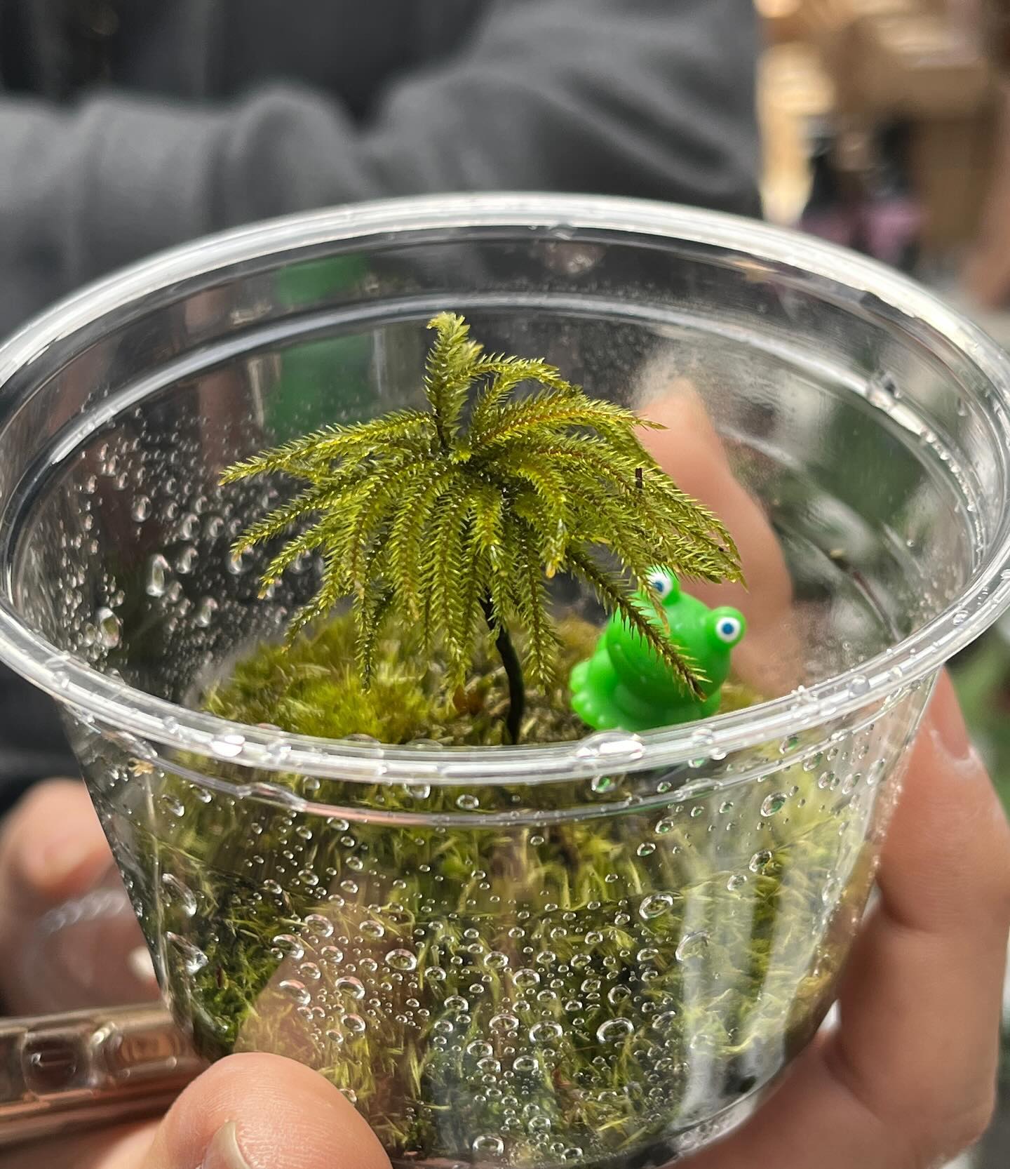 작고 소듕한 이끼🐸