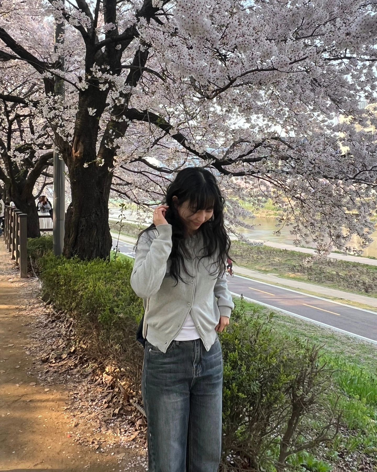 🌸🌿