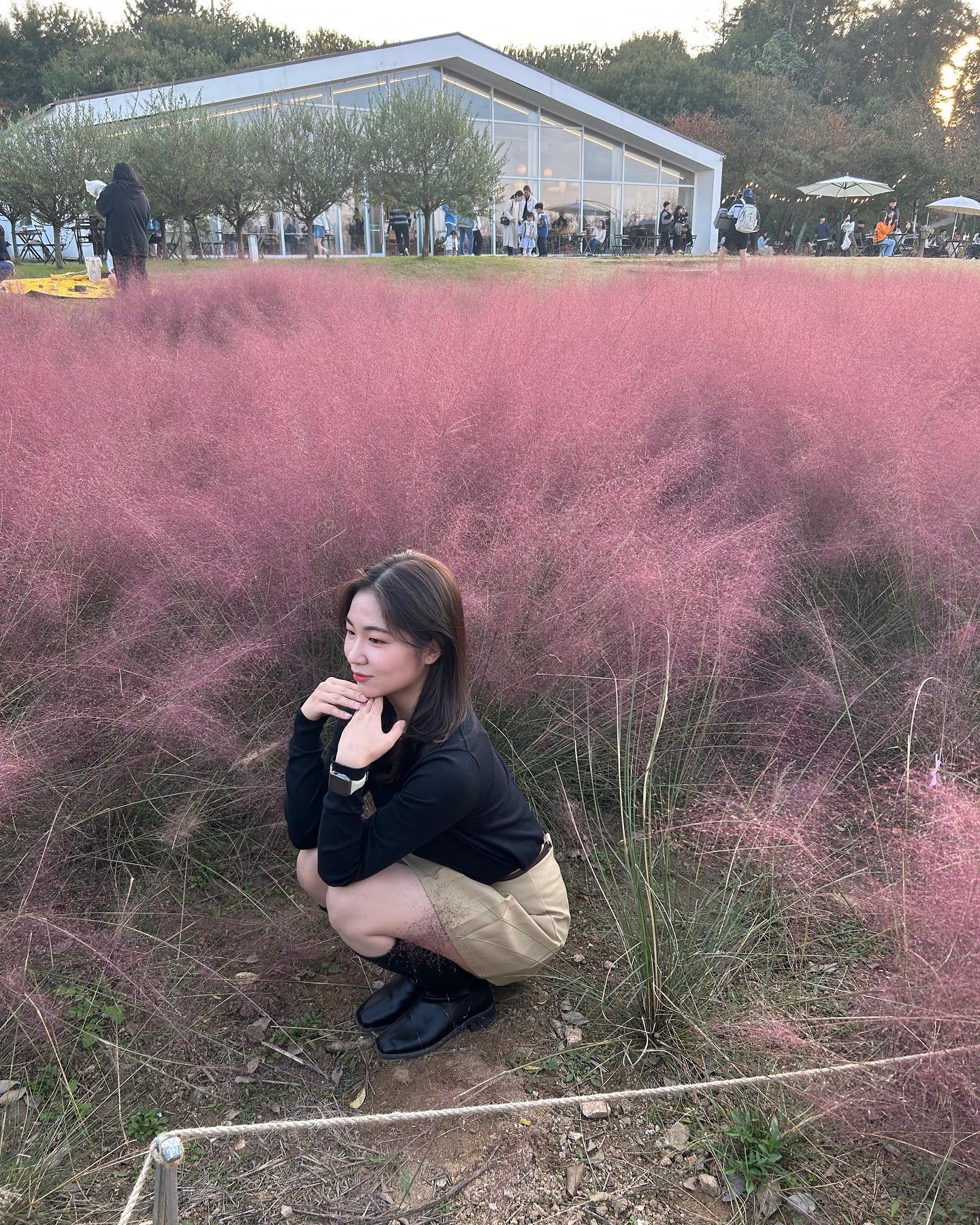 콘텐츠