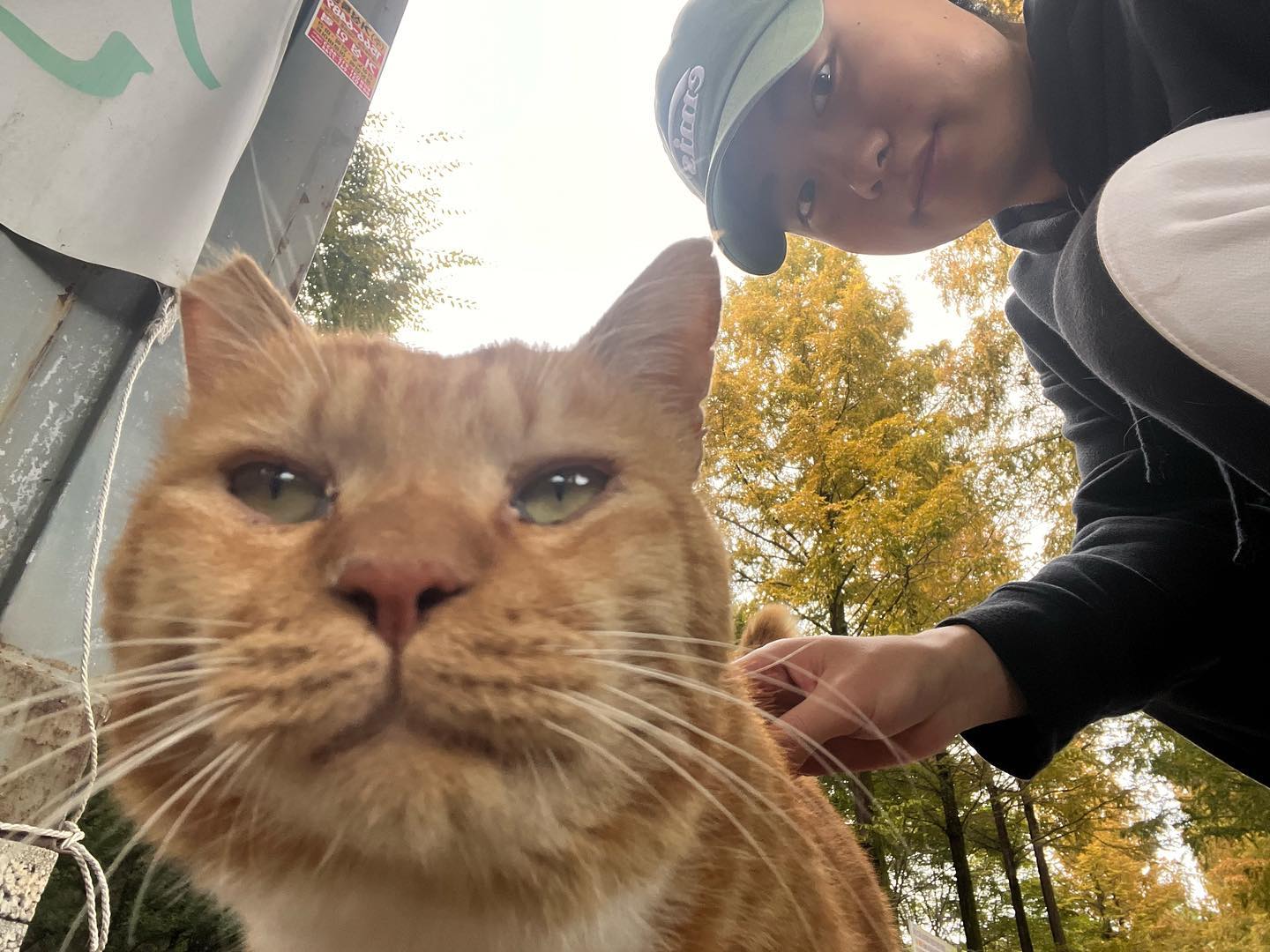 🧀🐱🧀🐱🧀🐱