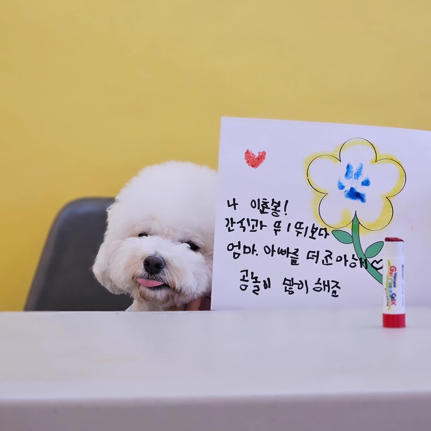 공부보다 노는게 더 조하🐶❤️

친구들이랑 신나게 뛰뛰하고
엄마랑 매일 산책도하고
매일이 즐거운 견생🩷💙💚🧡❤️

우럼마가 점점 더 바빠져서
인서타를 또 못하네🥲

엄마, 
개같이 벌어서 저한테 쓰세요🐶🫶🏻😘
.
.
.
.
.
#개처럼벌어서개한테쓴다