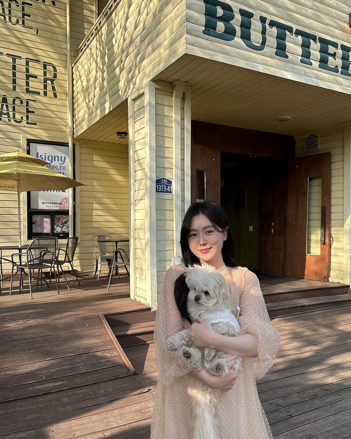 요즘 내 삶의 낙, 베르 🐶💛