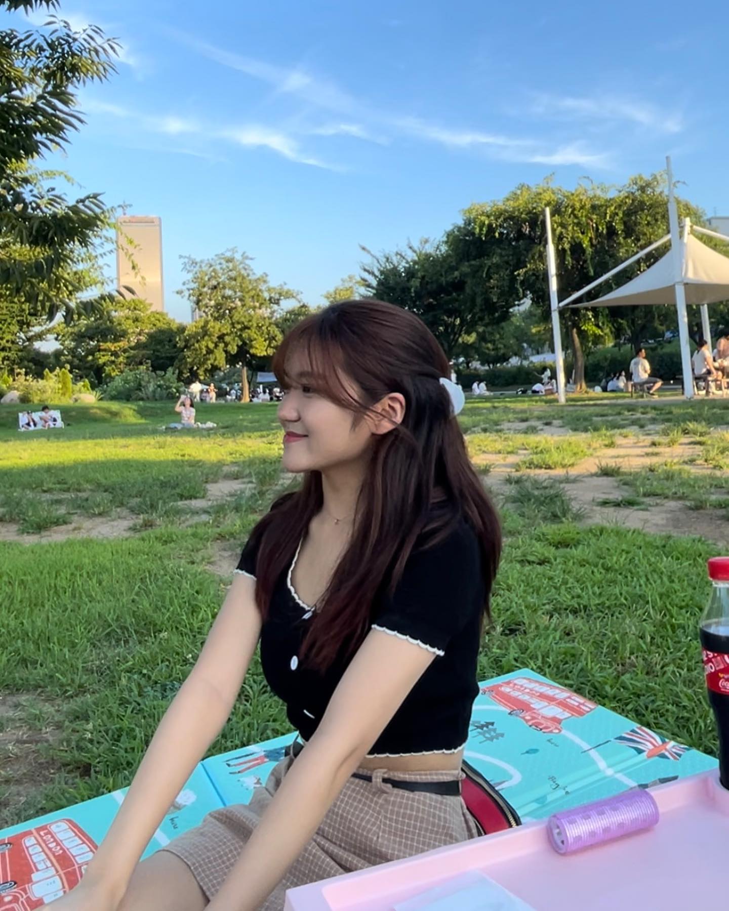 🌻🐥
