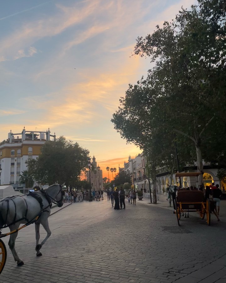2023.8.18~2023.8.20

🇪🇸Seville🇪🇸

We’ve been making shades of purple out of red and blue