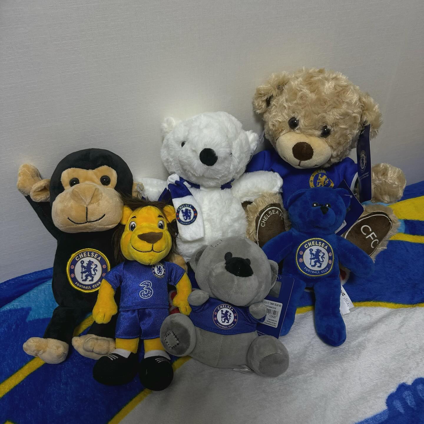 지현집에 놀러온 첼시 패밀리들 💙

#첼시 #chelsea #chelseafc