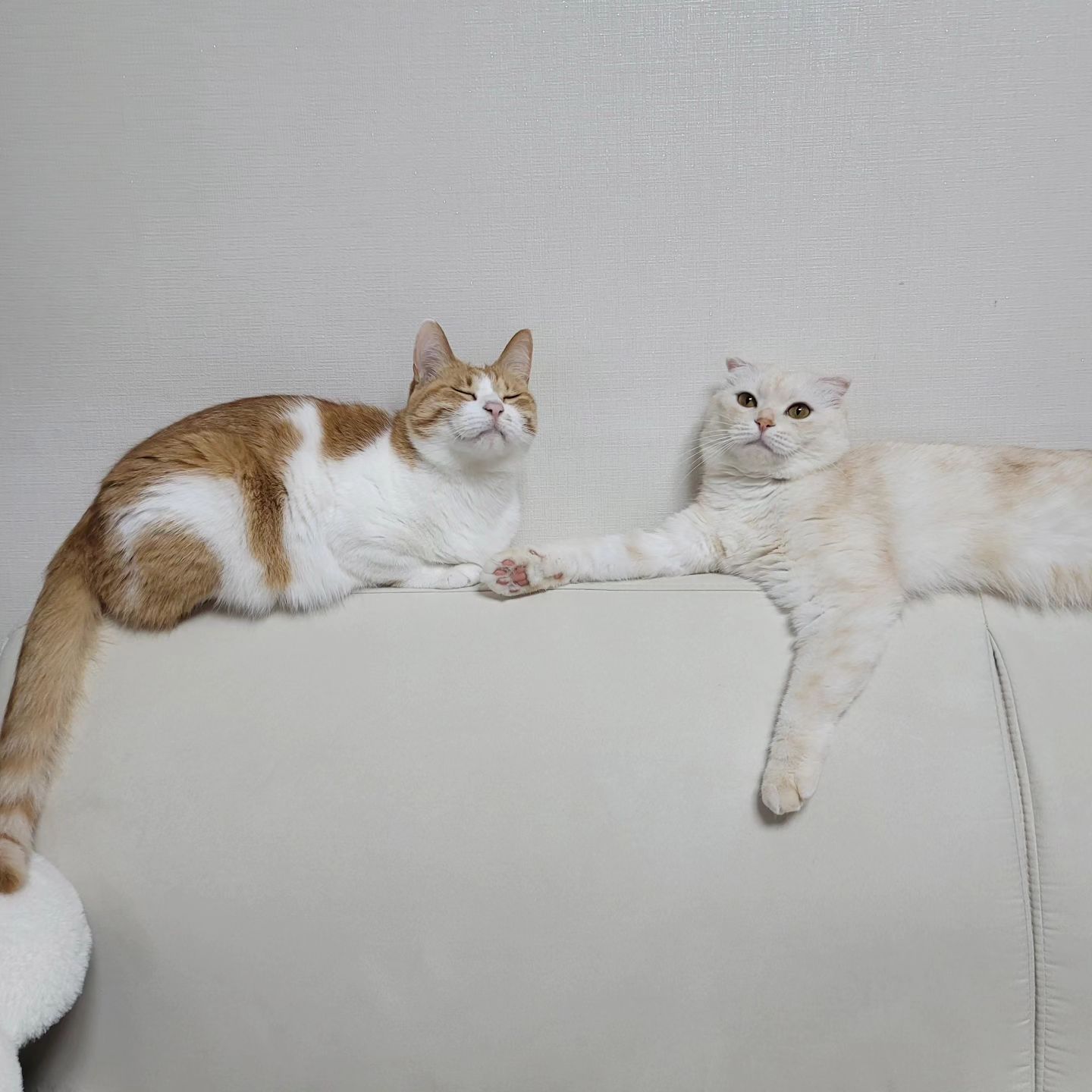 오순 송송 일상 모음
인스타 갬성 없음
상당히 자주 붙어있는편