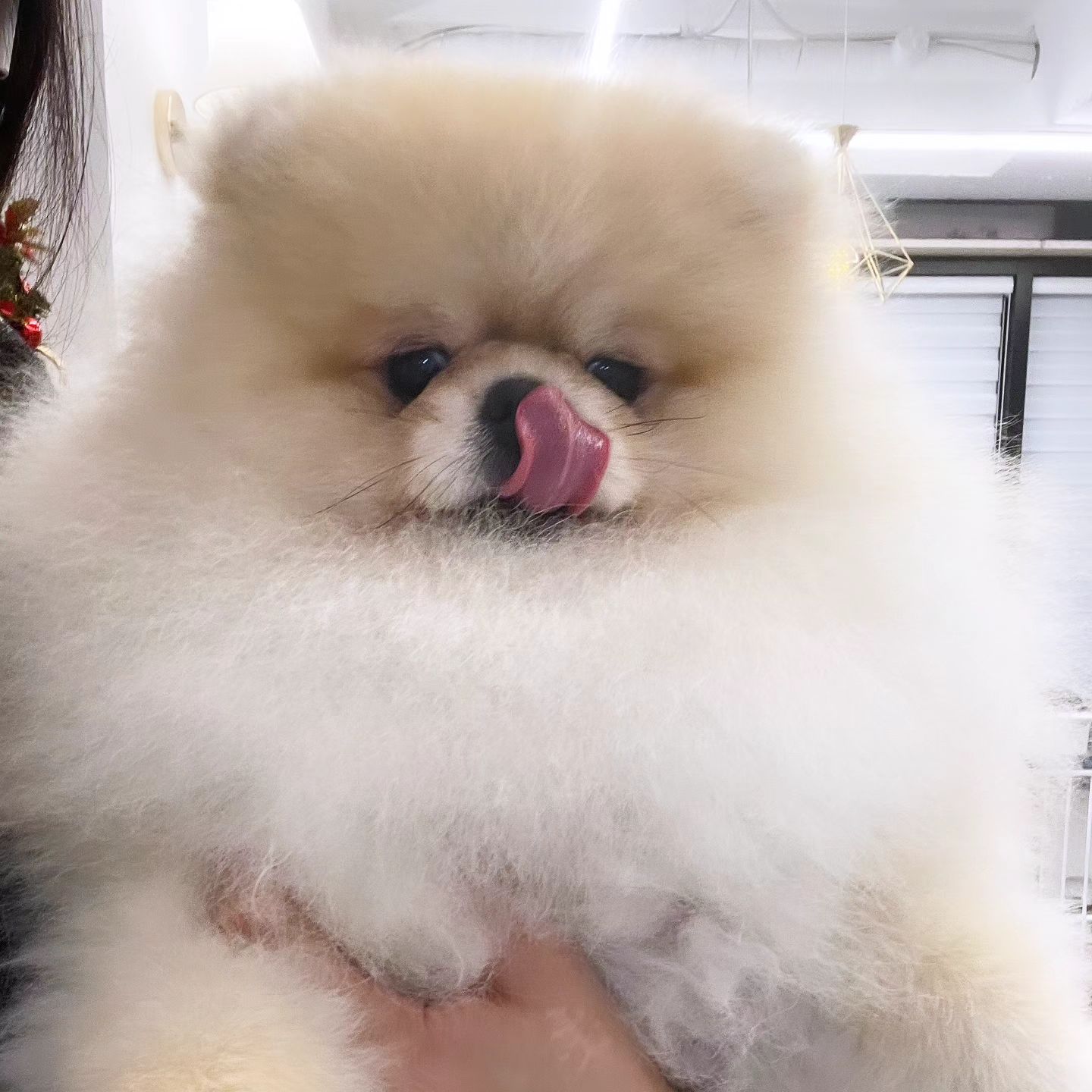 인스타 올릴 사진찍을 시간도
인스타 할 시간도
인스타 생각날 틈도
그닥없음 ㅠㅡ

유치원에서 보내주는 또르사진이
낙이자 뉴포토다  ㅋ