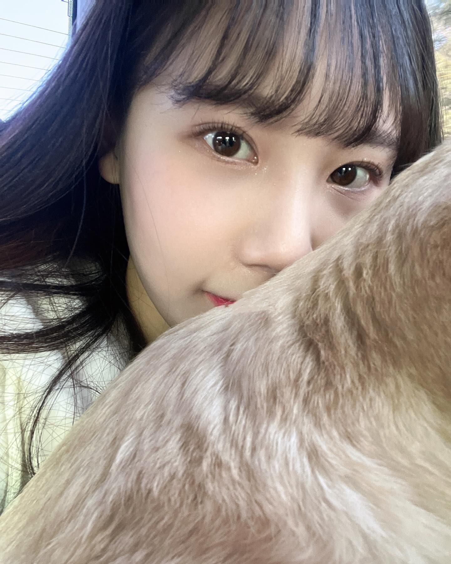 🤍
이때루 돌아갈래ㅐ ⸝⸝ʚ̴̶̷̆ ̯ʚ̴̶̷̆⸝⸝