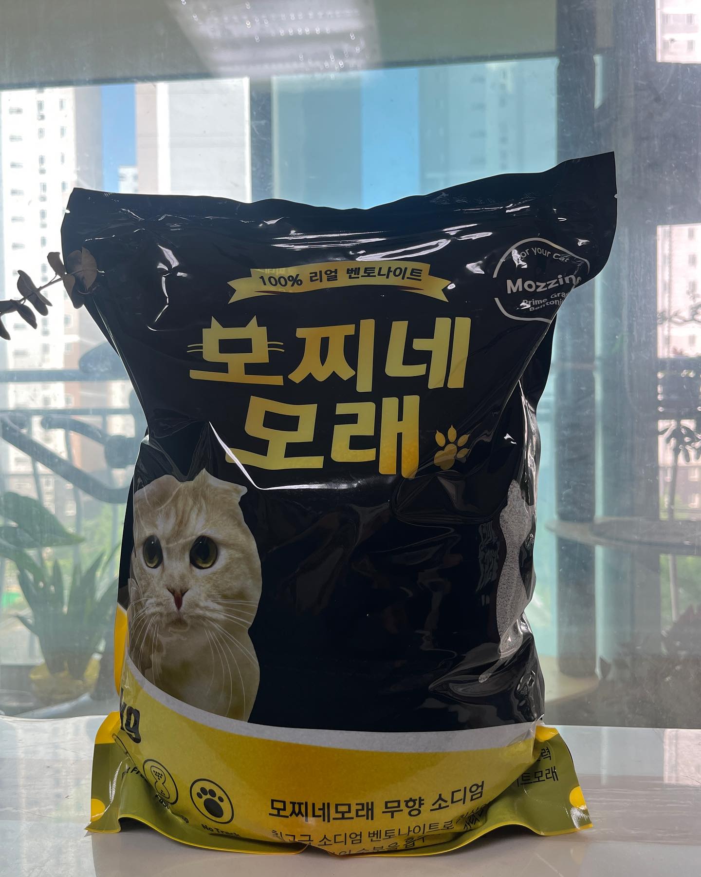 #협찬 
고양이모래로 유명한 ⭐️모찌네모래⭐️
요 제품은 울집 냥이들이 젤좋아하는 최애모래에용ㅎㅎ~~ 
저는 냥이모래를고를때 가장 중요하게 생각하는게

1. 응고력 2. 먼지날림 

이모든것에 해당하는 모래가 바로 ⭐️모찌네모래⭐️였답니당ㅎㅎ~~ 모래 유목민인 저에게 완전 빛같은 존재! 

모찌네 모래는 일반 벤토나이트의 10배이상의 흡수력을 자랑해요

그리고 40단계의 먼지제거로 먼지날림을 최소화 한 제품!

모찌네모래 소디엄 벤토나이트제품은 제품안 ph체크 입자를 넣고 뿌려주면 소변으로 고양이의 건강을 체크할수있는 장점이있는제품♥️

모래유목민 분들이라면 꼭 사용해보시면 좋겠어요~~

#고양이모래 #벤토나이트 #모찌네모래 #모찌네 #소디엄벤토나이트 #고양이 #모래추천 #모래유목민 #고양이모래추천