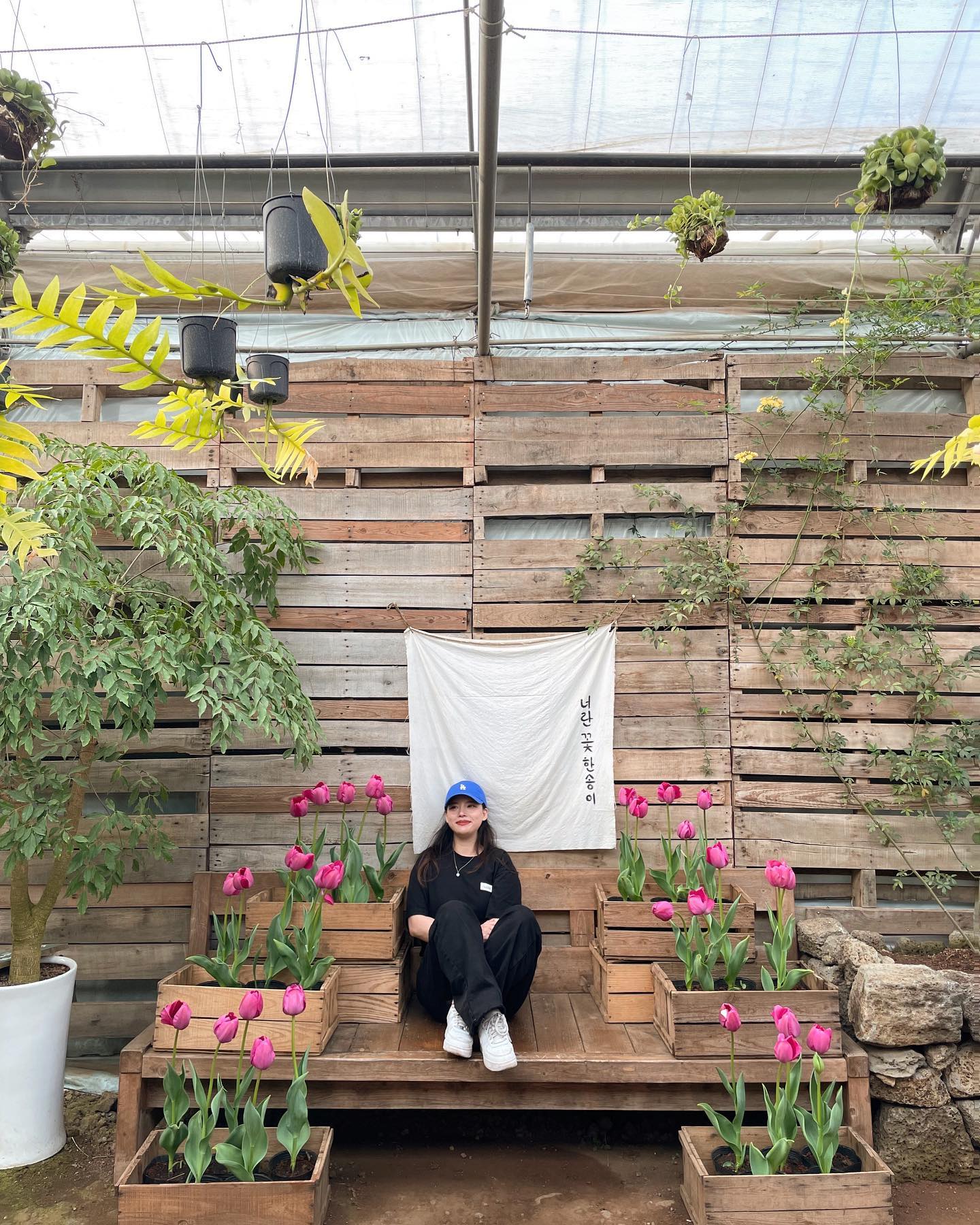 forget the flowers🌷

#Jeju #Traveler