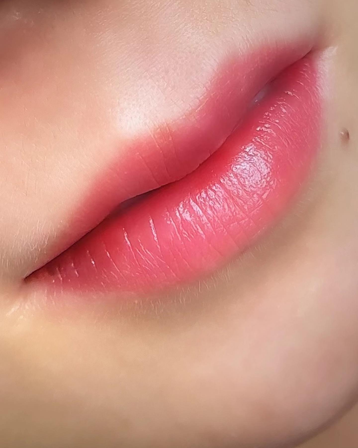 콘텐츠