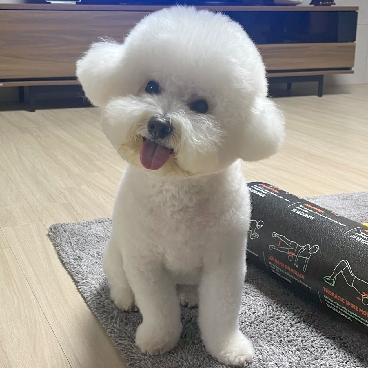 퇴근길 힐링,, 왕만듀🥟