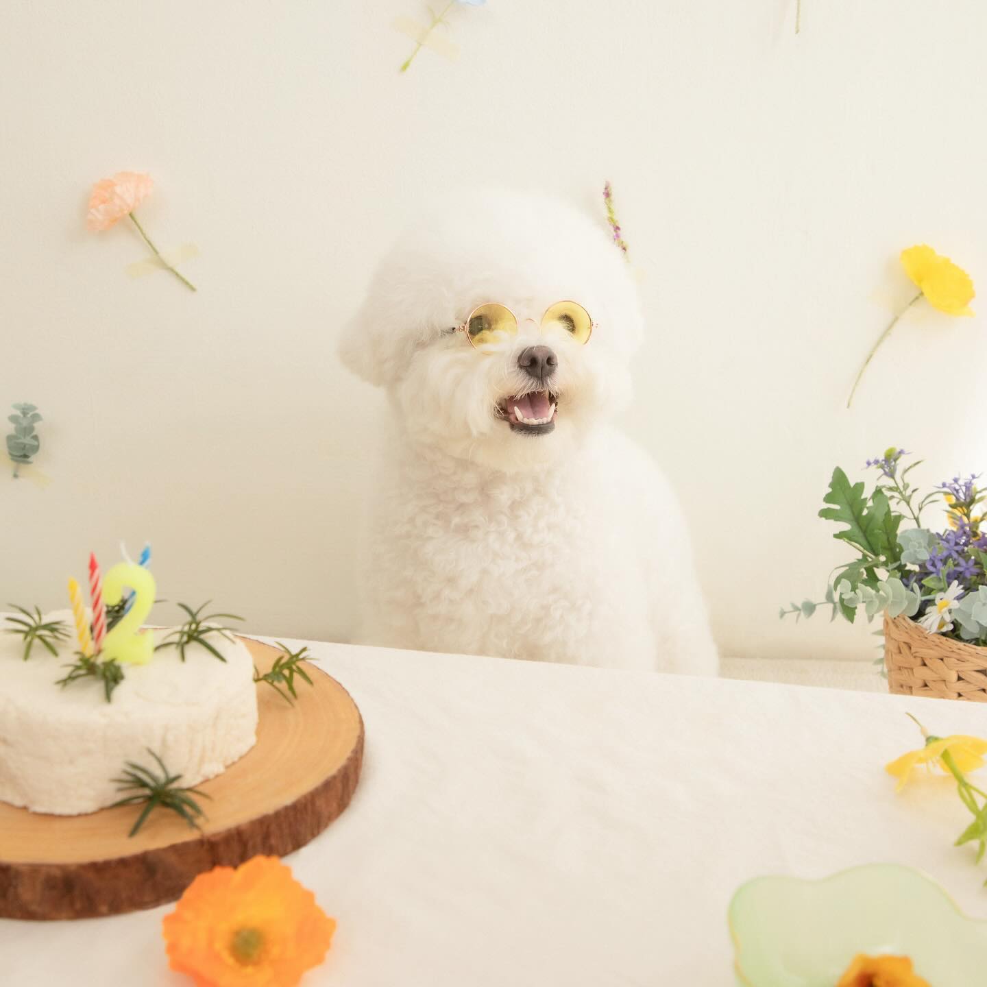 드디어 프롬엘라(fromella_studio )에서 사진이 도차쿠🥰
이날따라 엄마 말 지독시리도 안들어찌만,,, 생일이니까 봐줬다